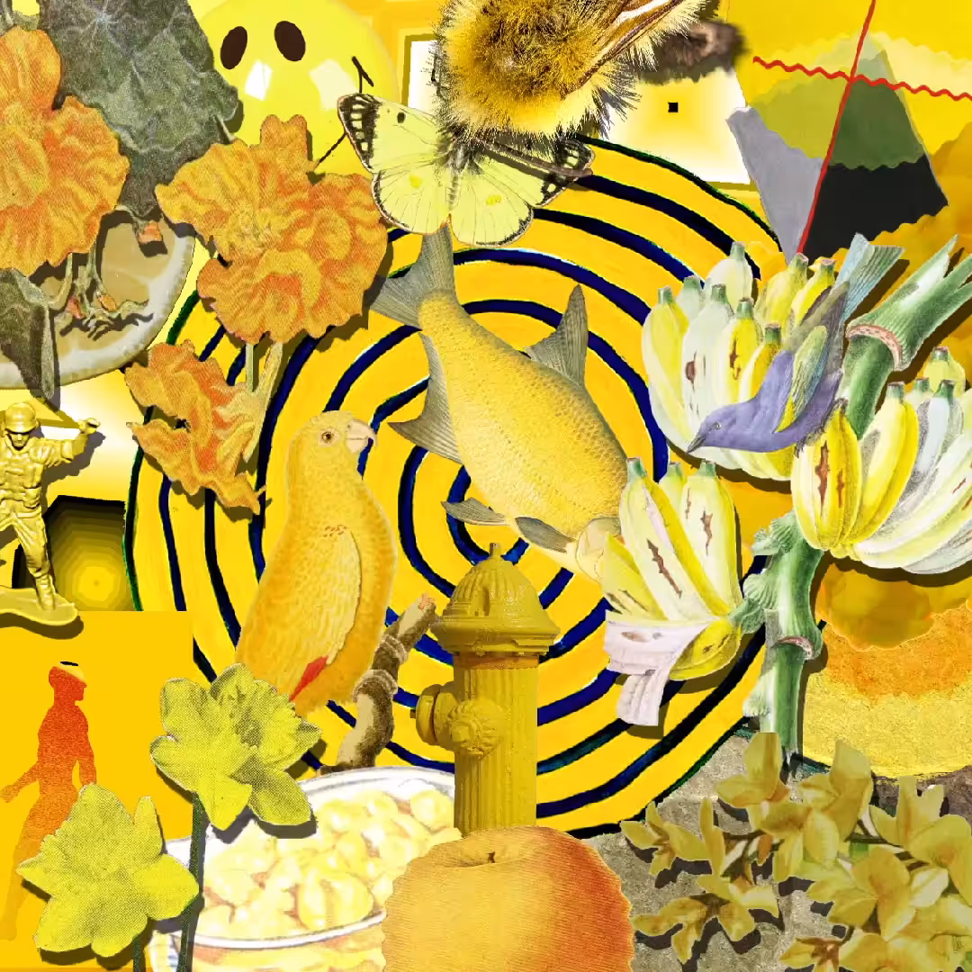 YELLOW ON COLLAGE
