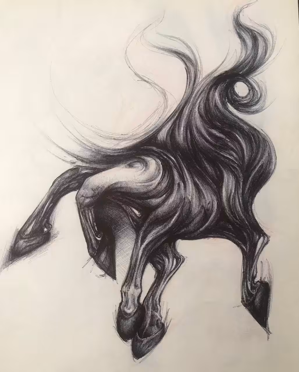 my hors