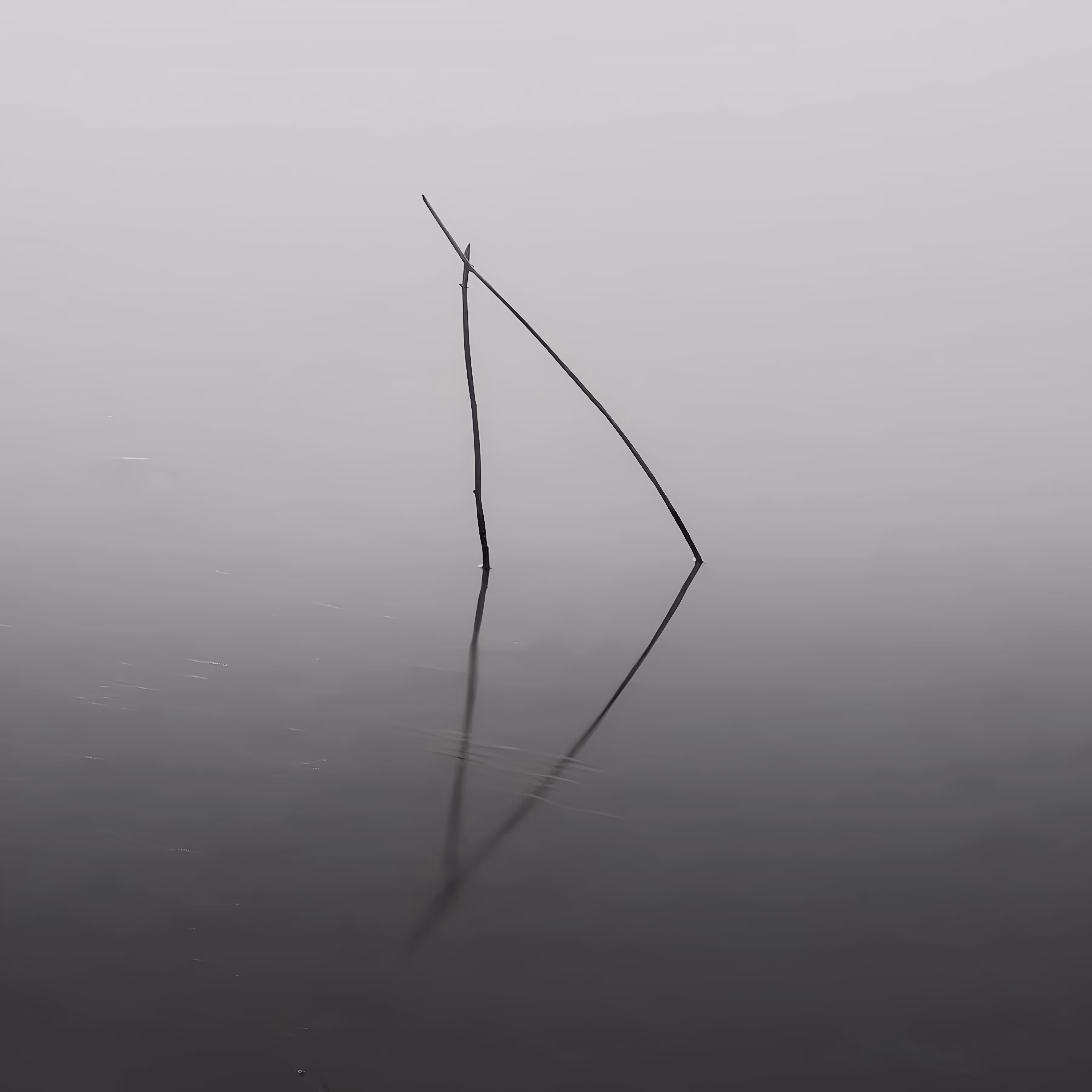Anchor