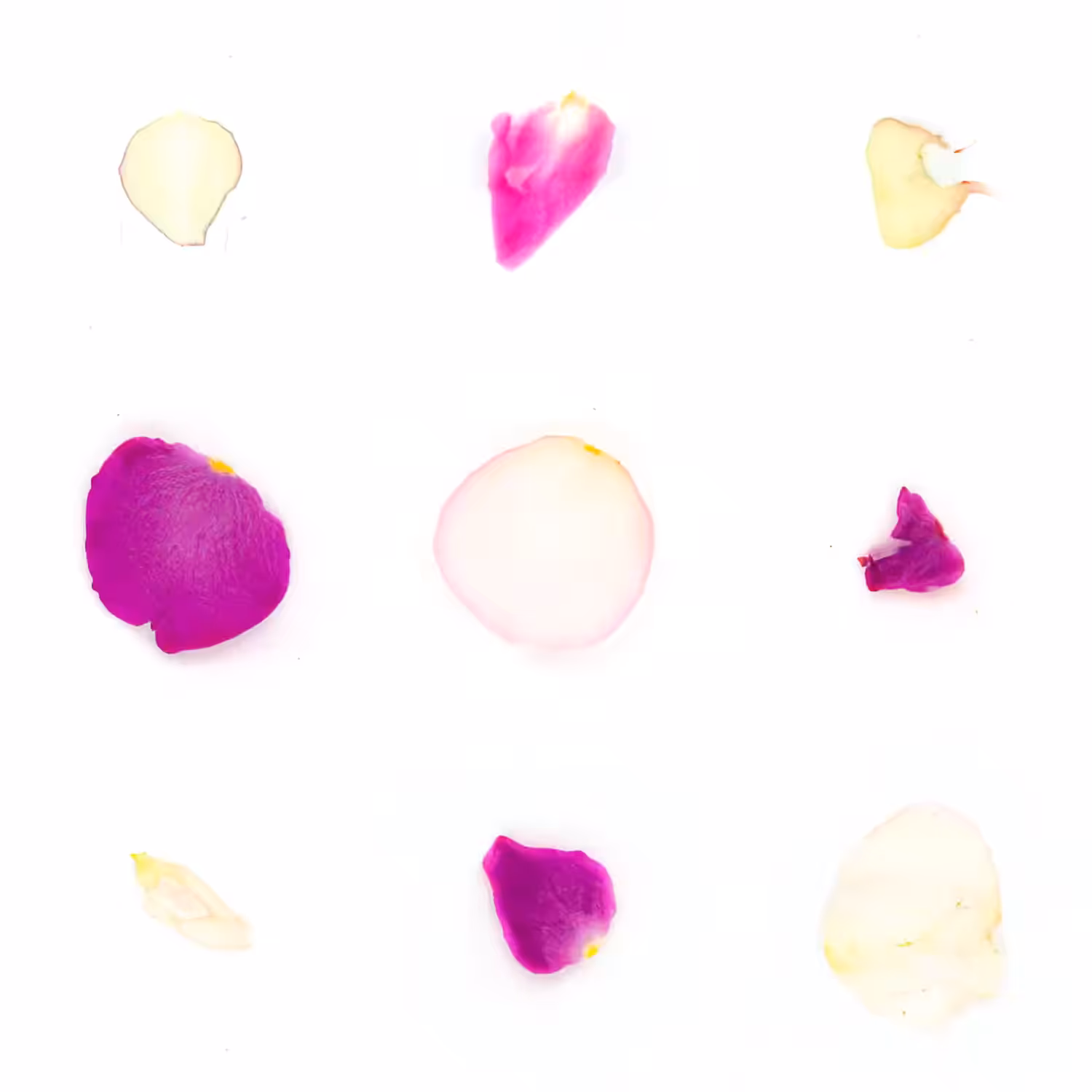 Infinite Petals 3x3#629