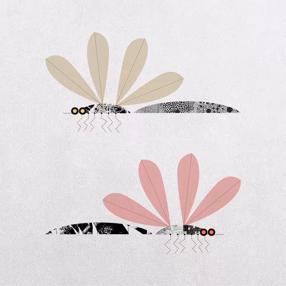 Mosquito Abstraction #30