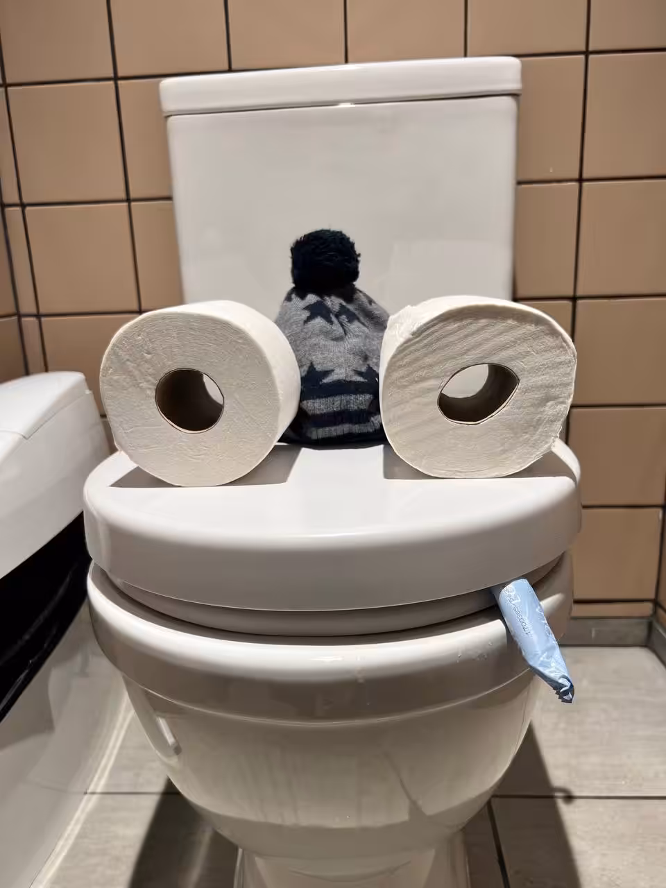 Pepe Toilets NYC #62