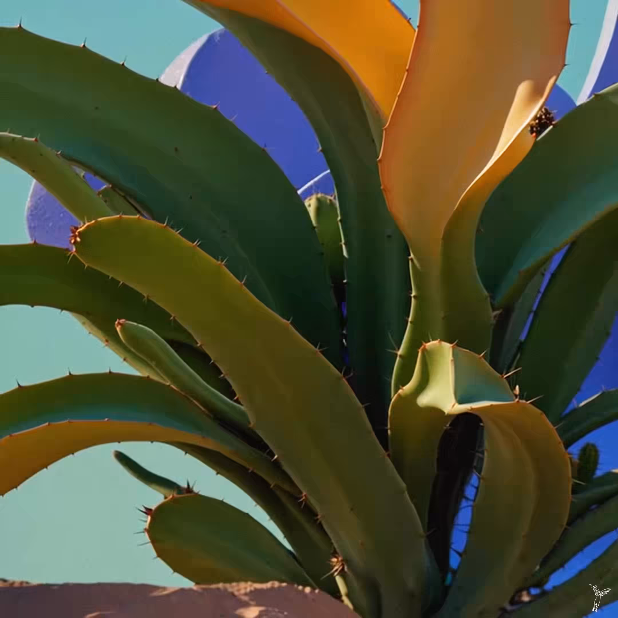 Lost in DesertIA