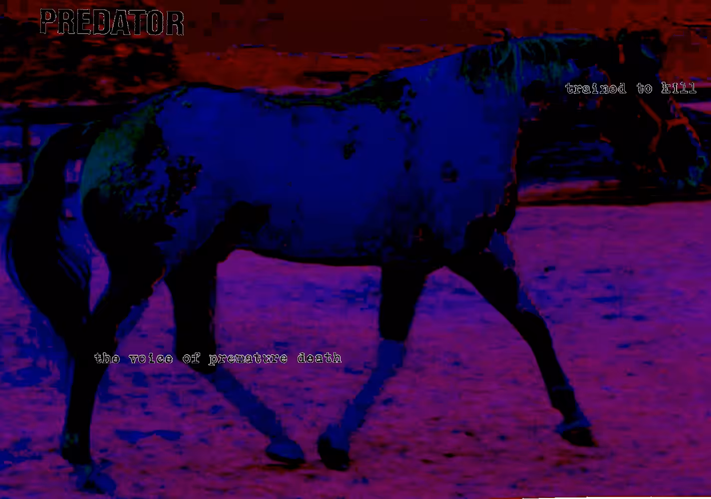 It wasn't a phase Mom.: The Four Horsemen are Animorphs