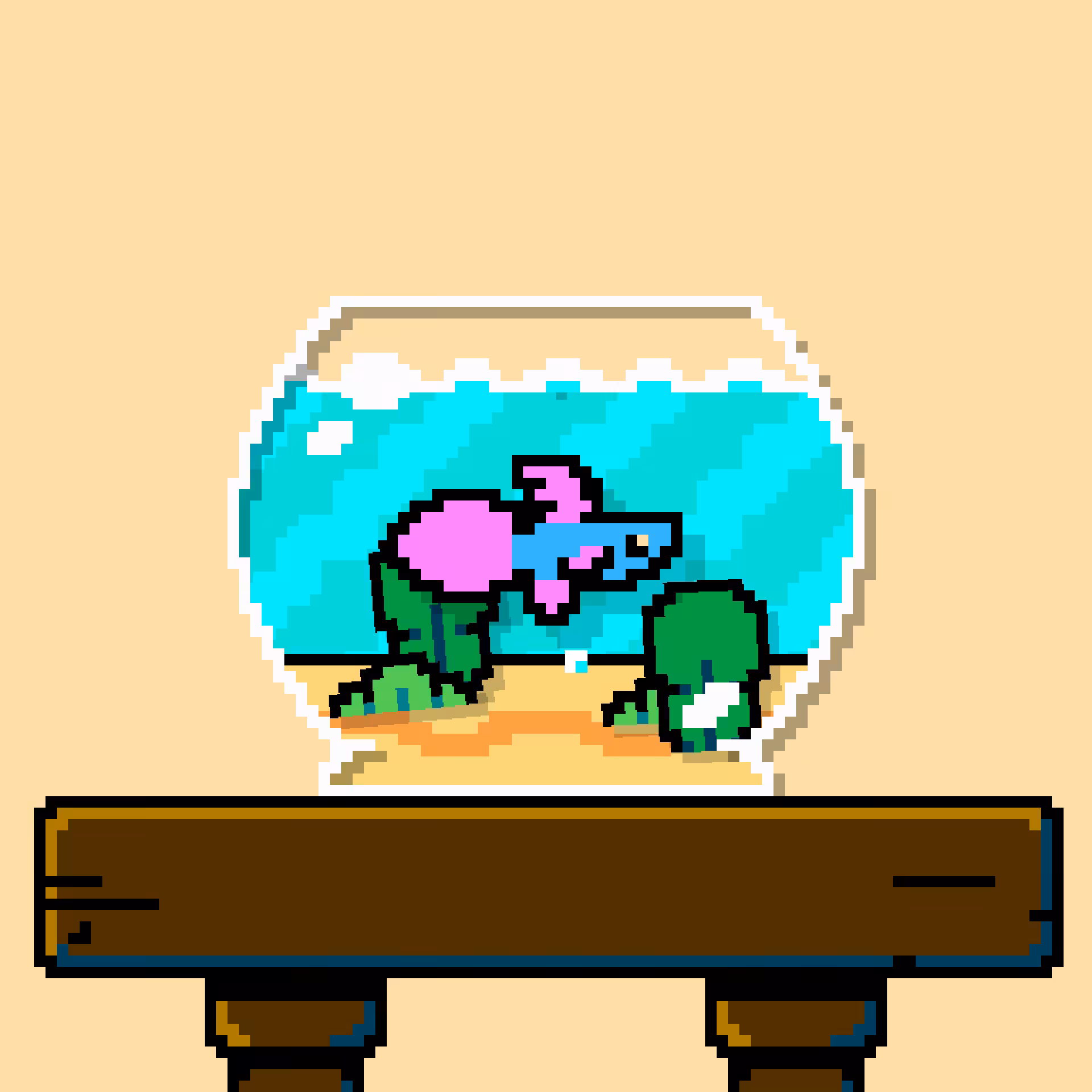 betta fish #507