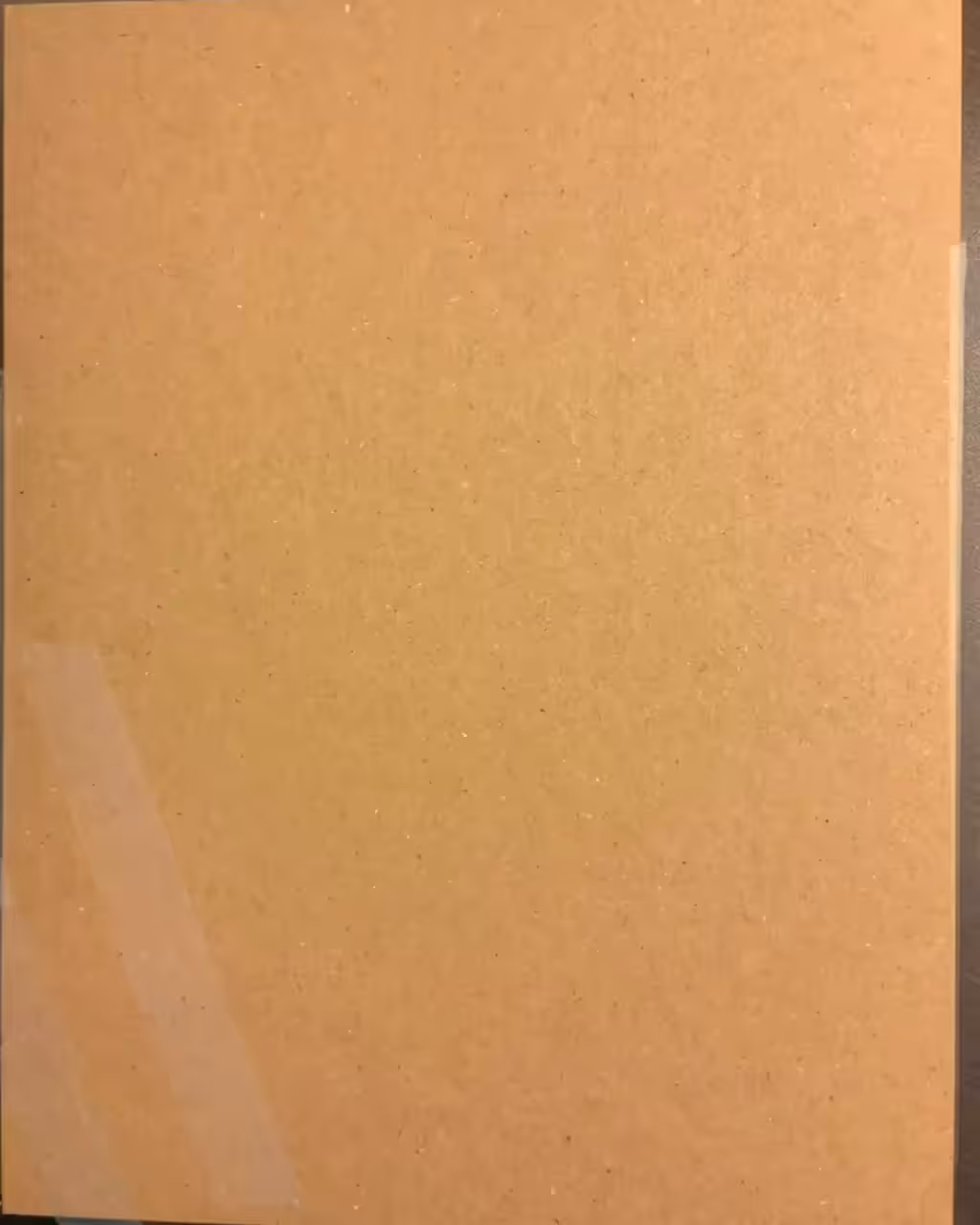 “This Is The Path”