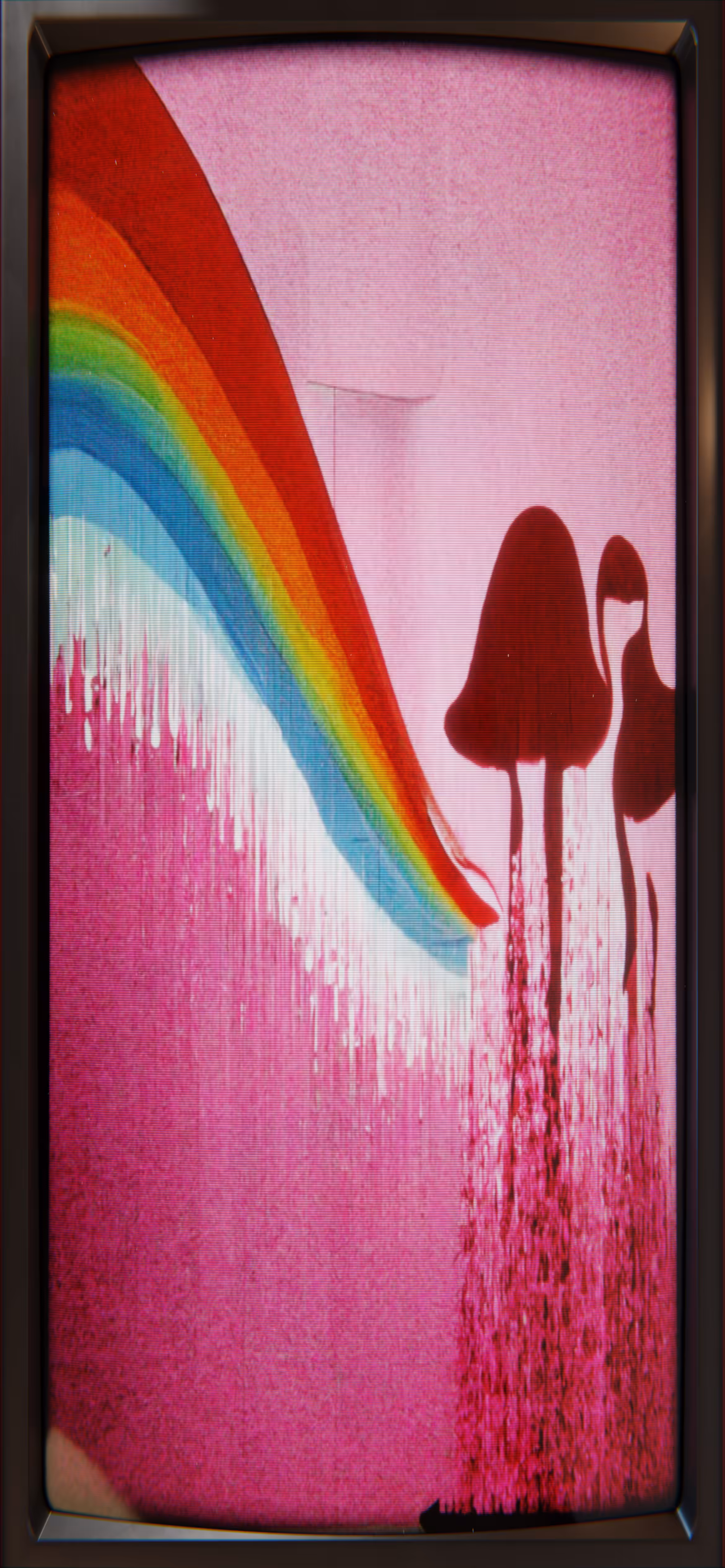 Pink Flamingos