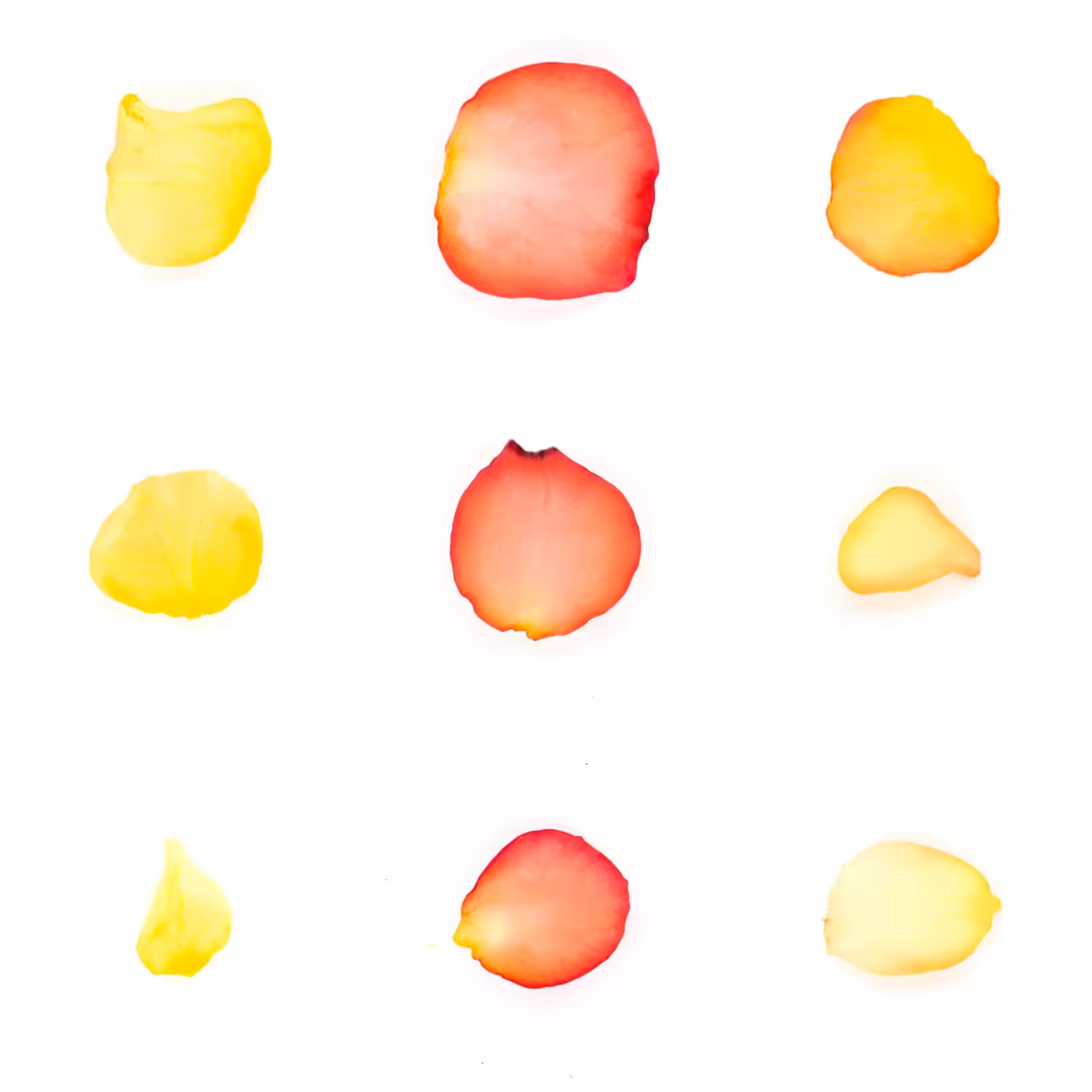 Infinite Petals 3x3#20189