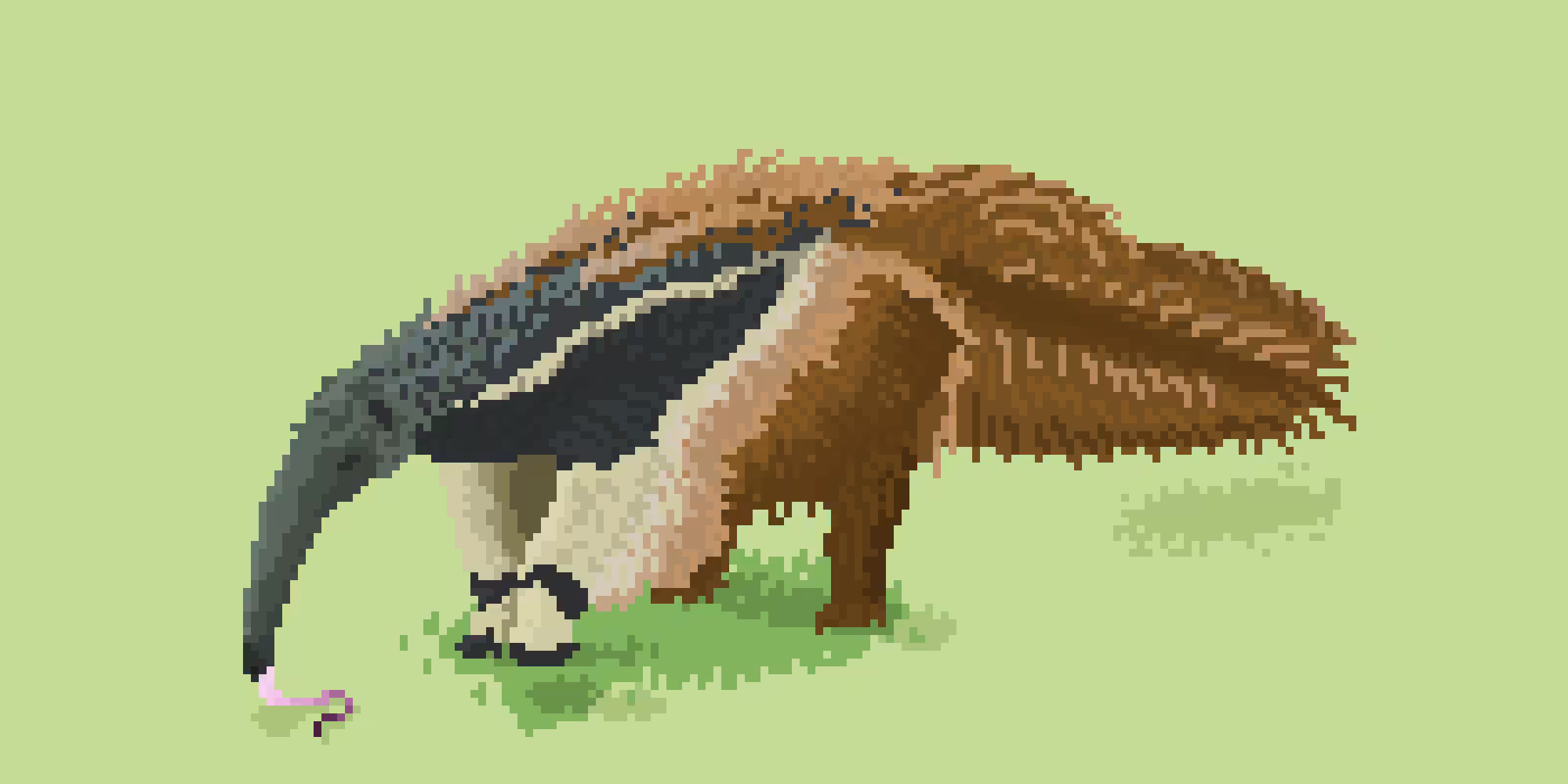 Giant Anteater