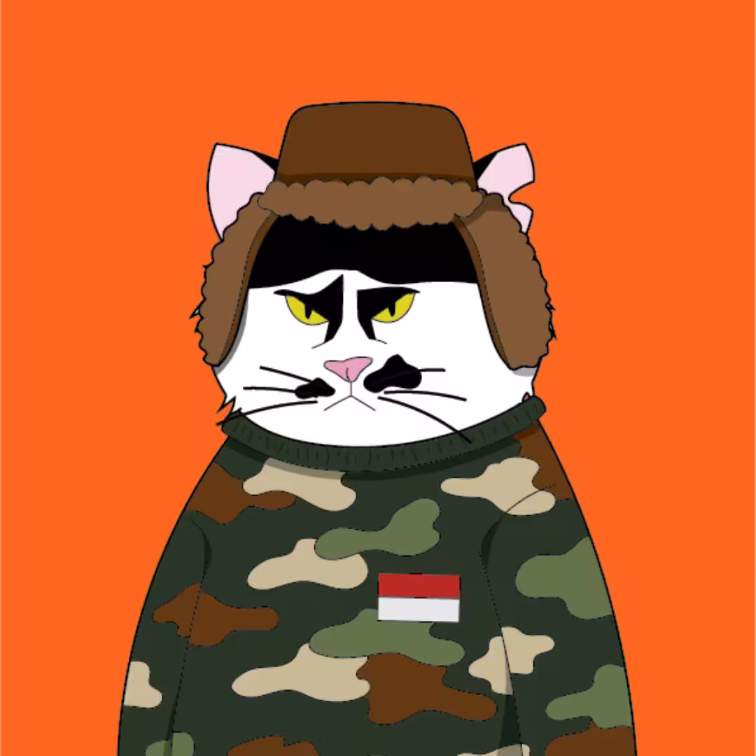 Chillin' Soldier: MAD Stray Cat