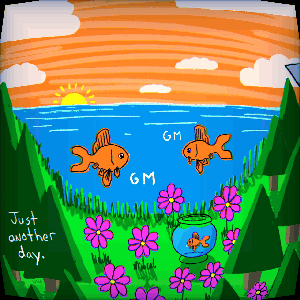 The Relax Fish project: Just another day