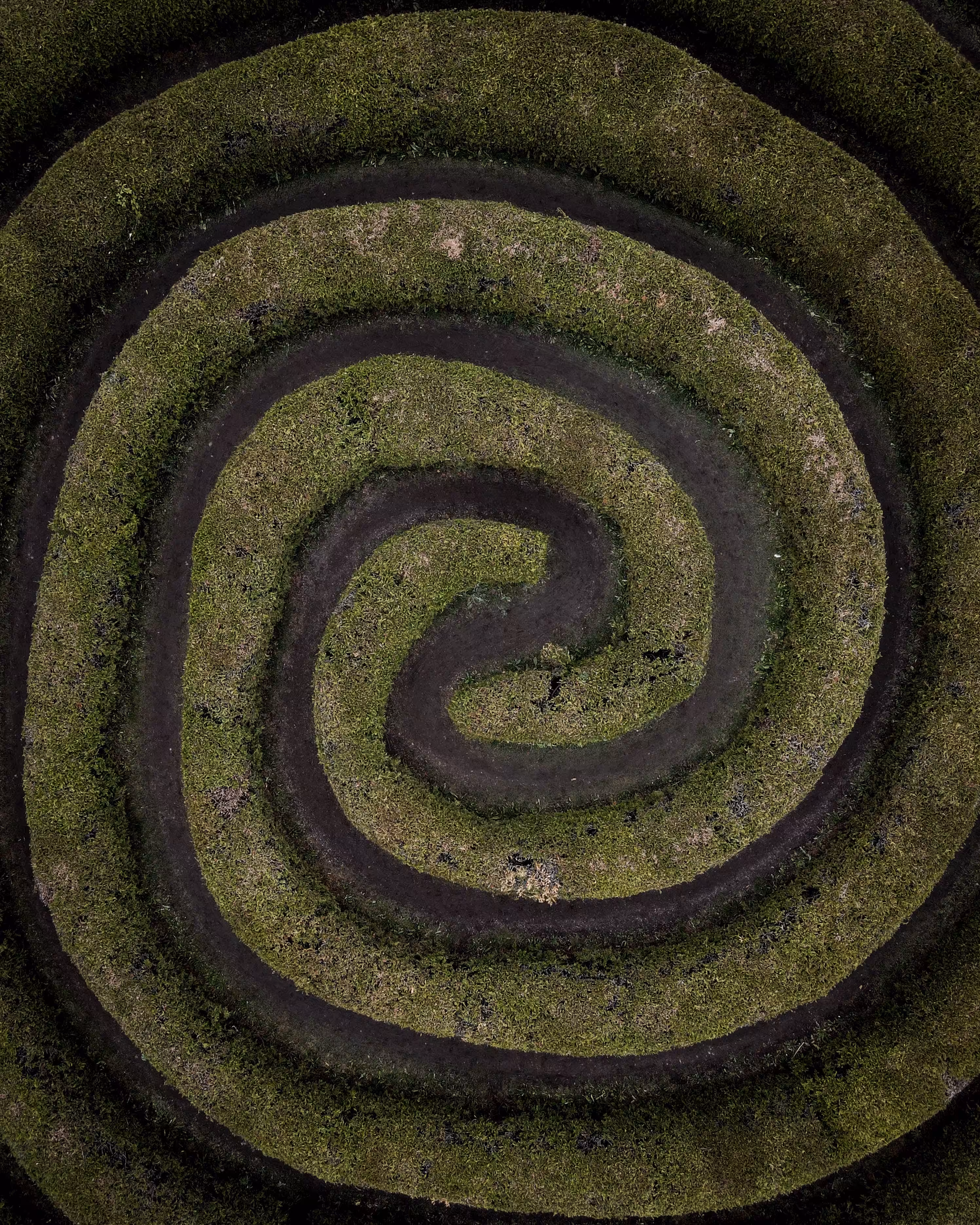 Maze Hacker #33