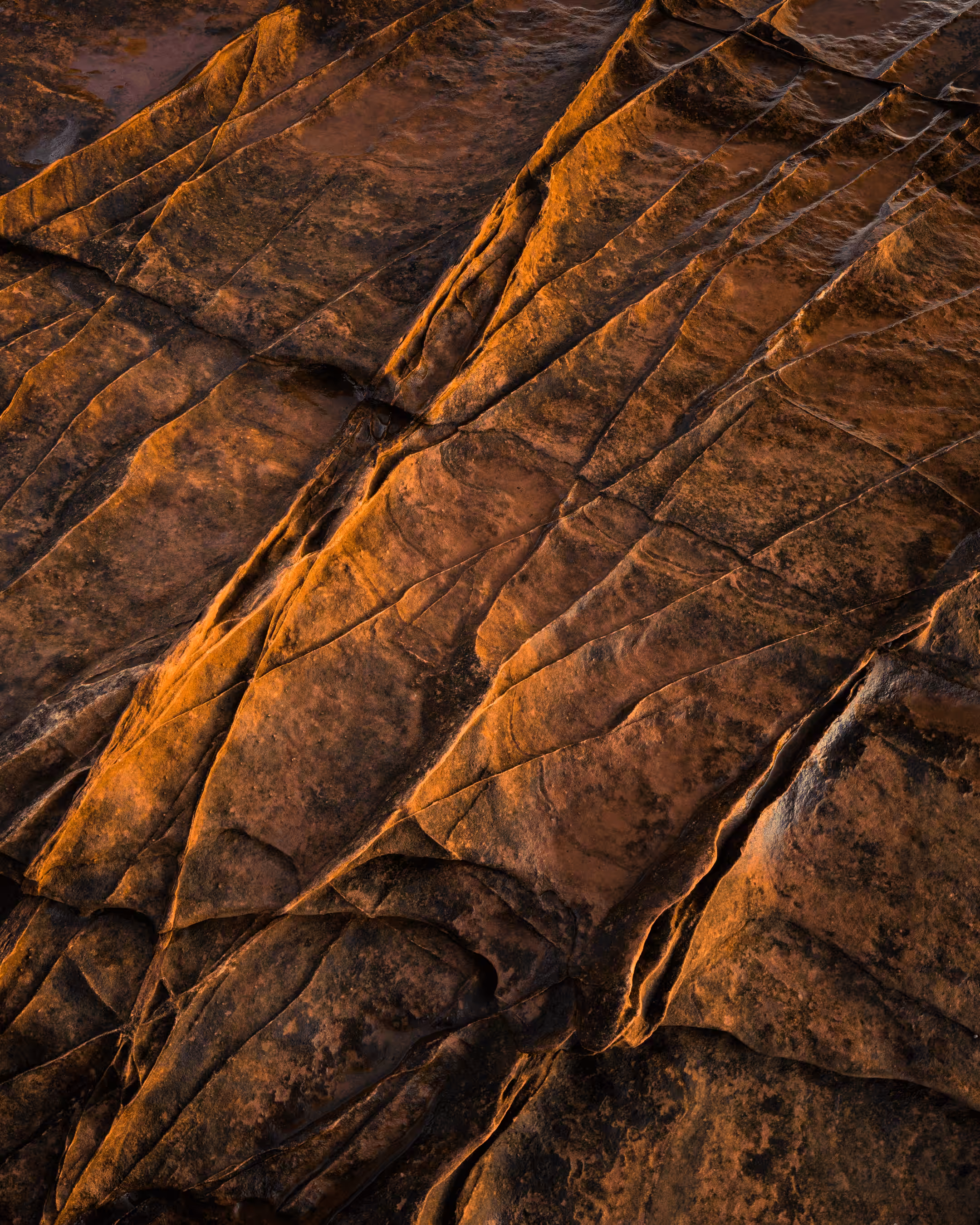 Elements #2 - Fissures