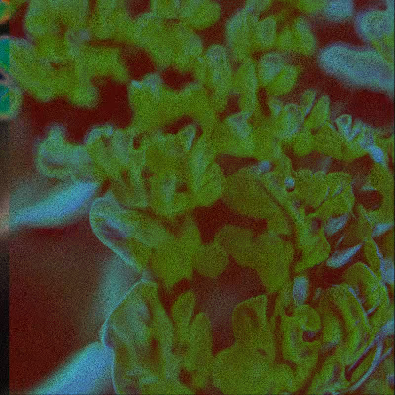 CLDCSMC #95