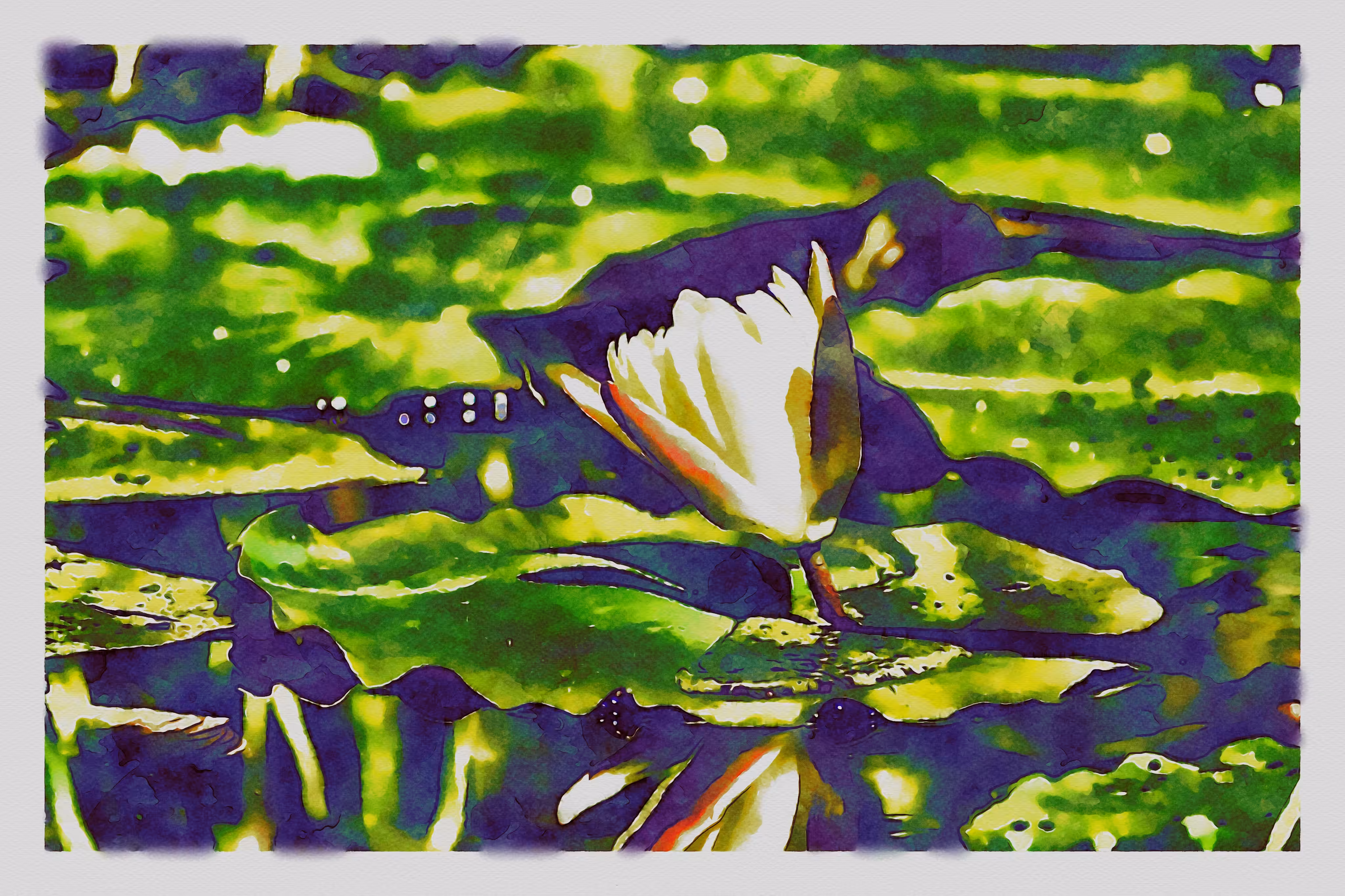 Watercolor - Water Lily