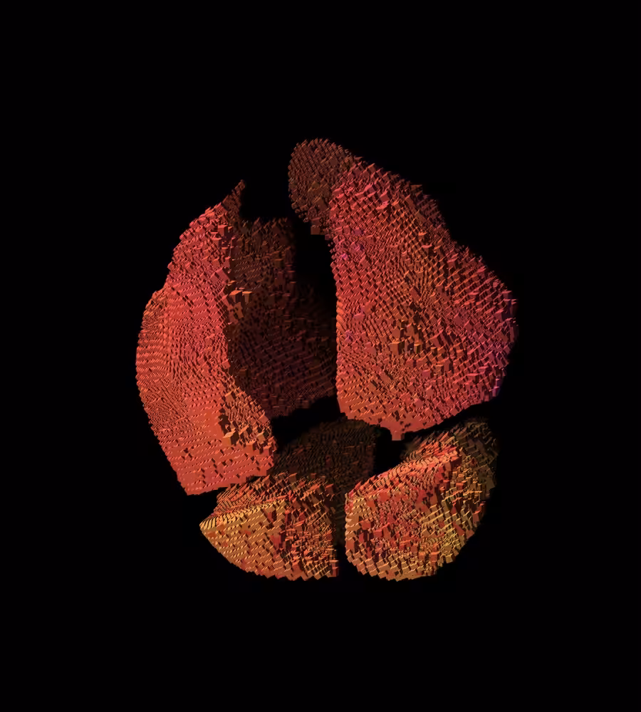 Artifact 1