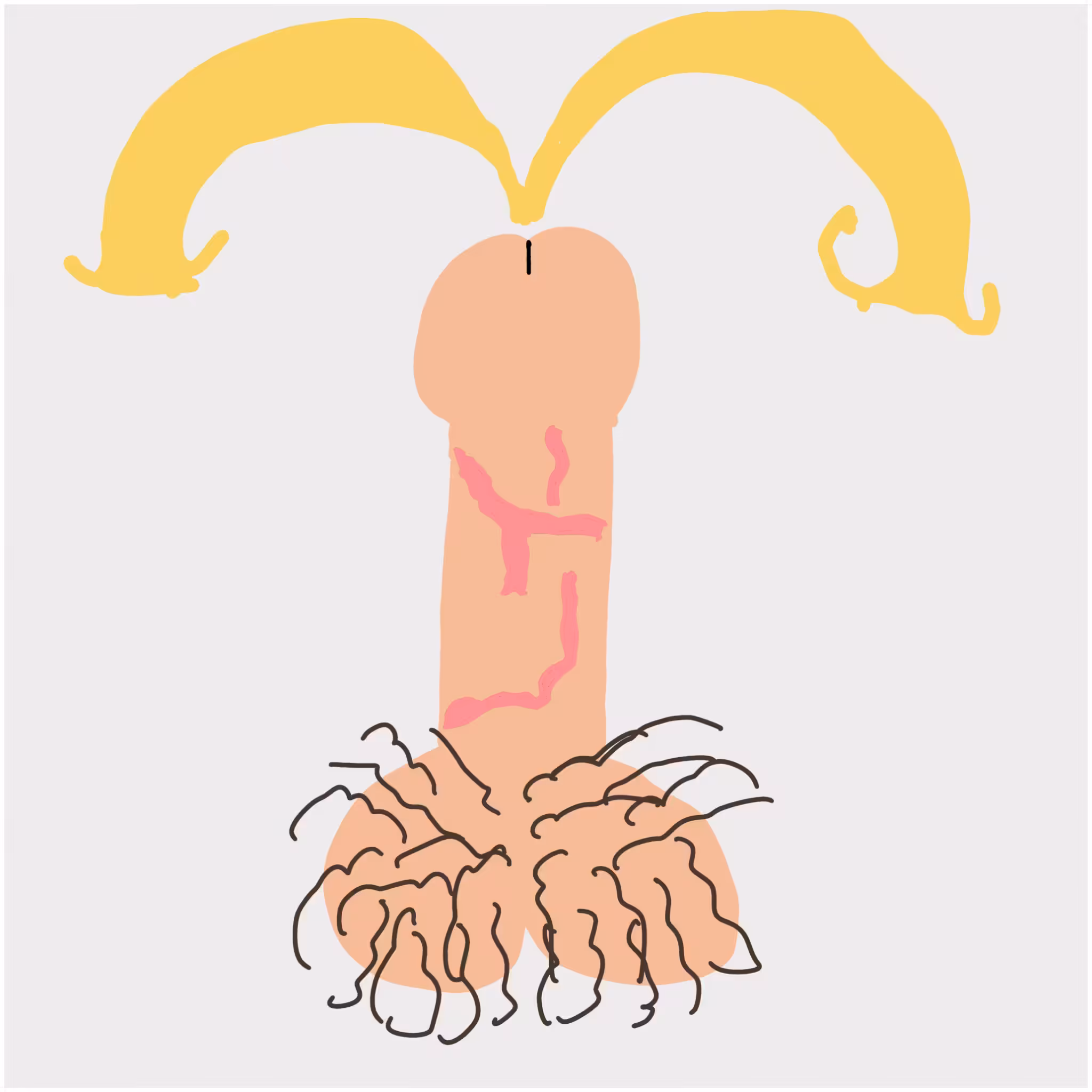 Dickgenerative Art #65