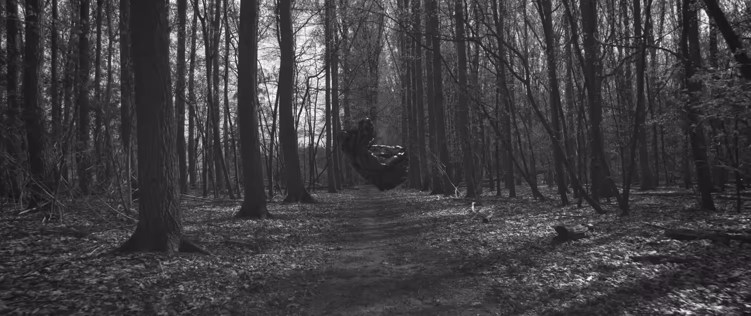 a_walk_in_the_woods.mp4