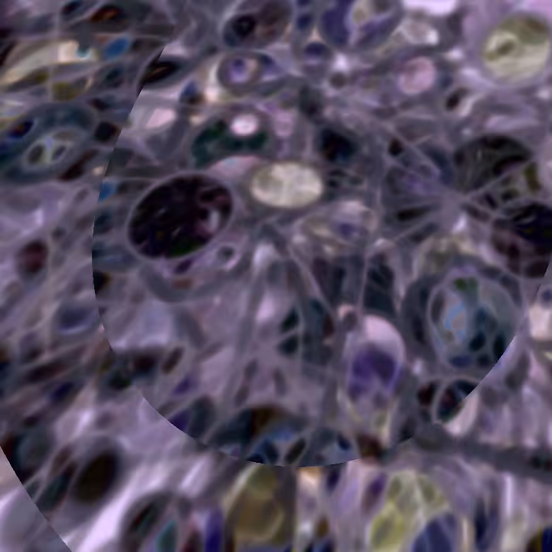 Fusion #6