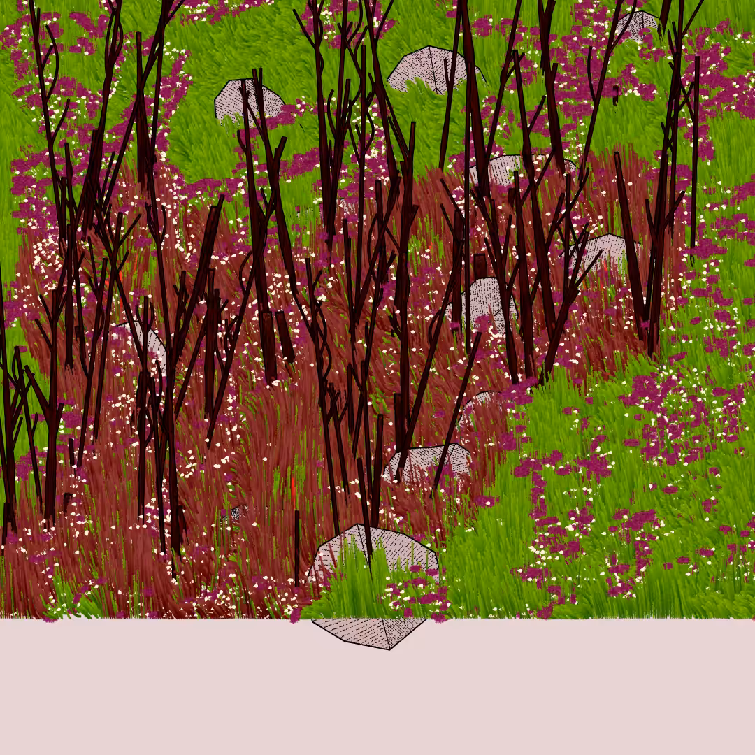 Bagh #36