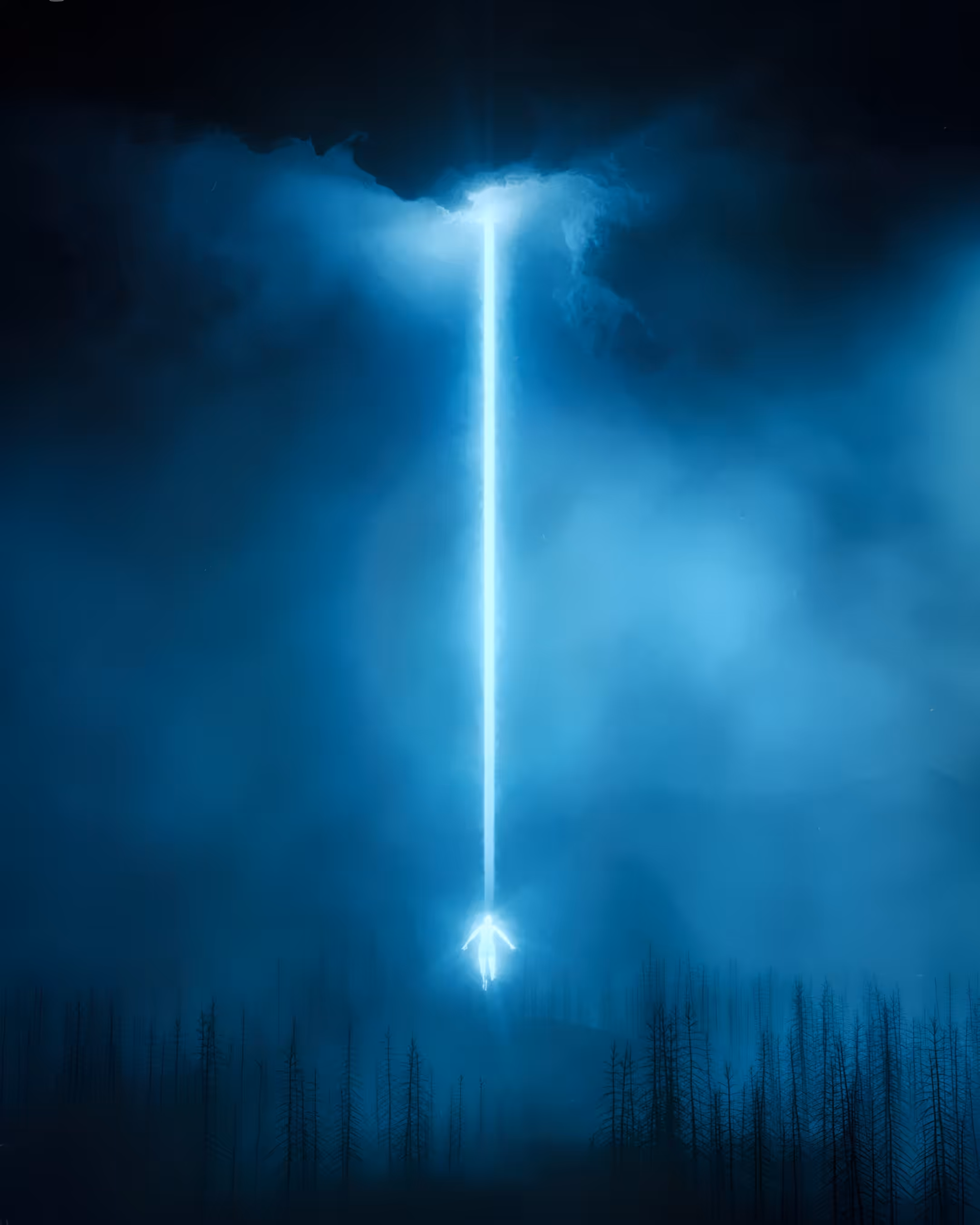 Reborn