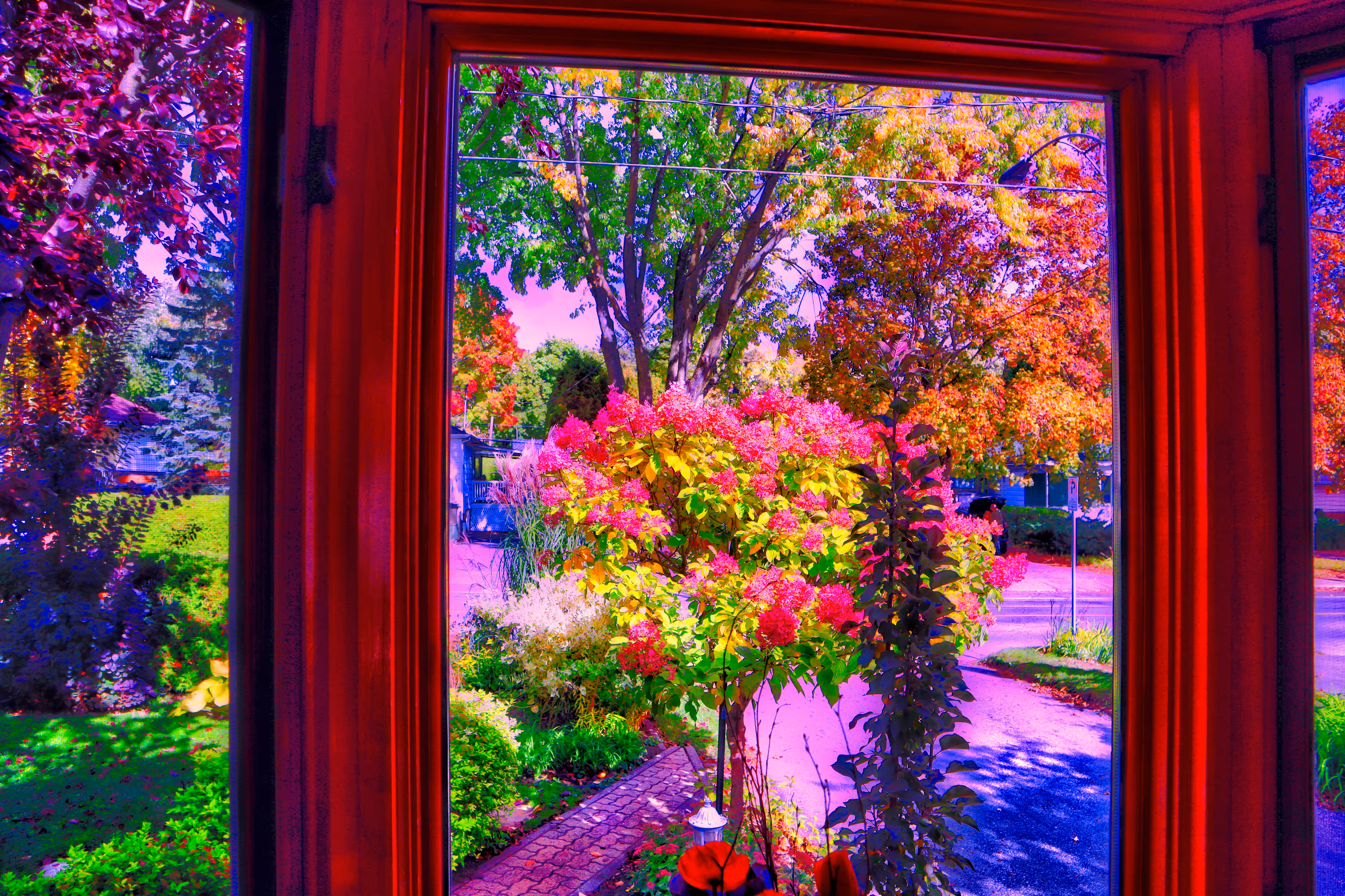 2022: Beautiful Plants