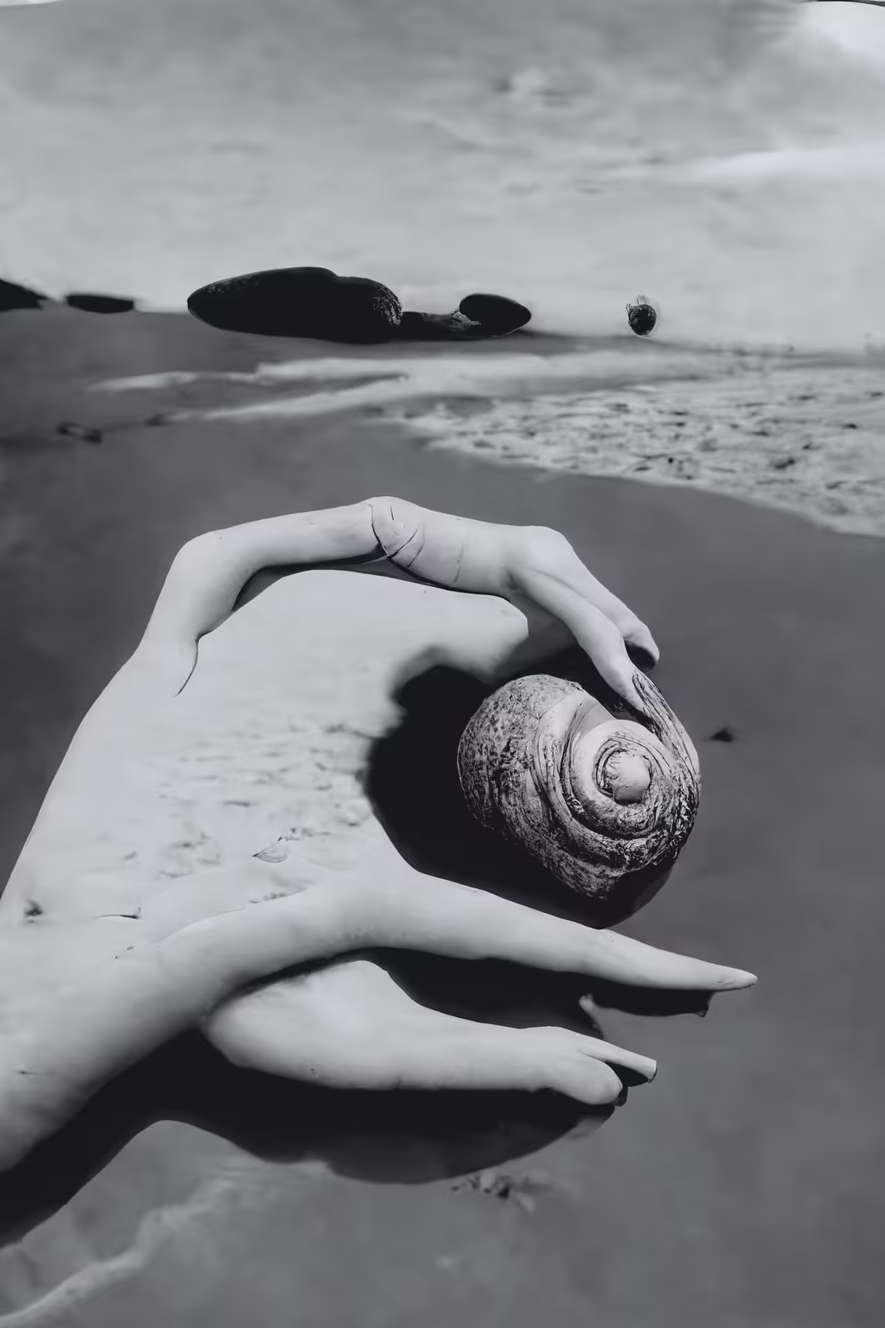 11B // Untitled (Hand-Shell) by Dora Maar, An Optimistic Attempt