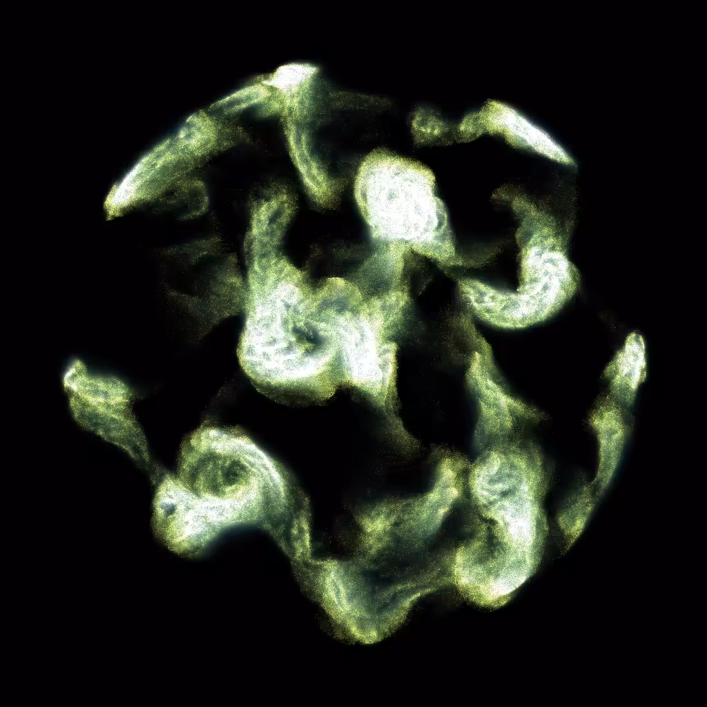 PETRI #51