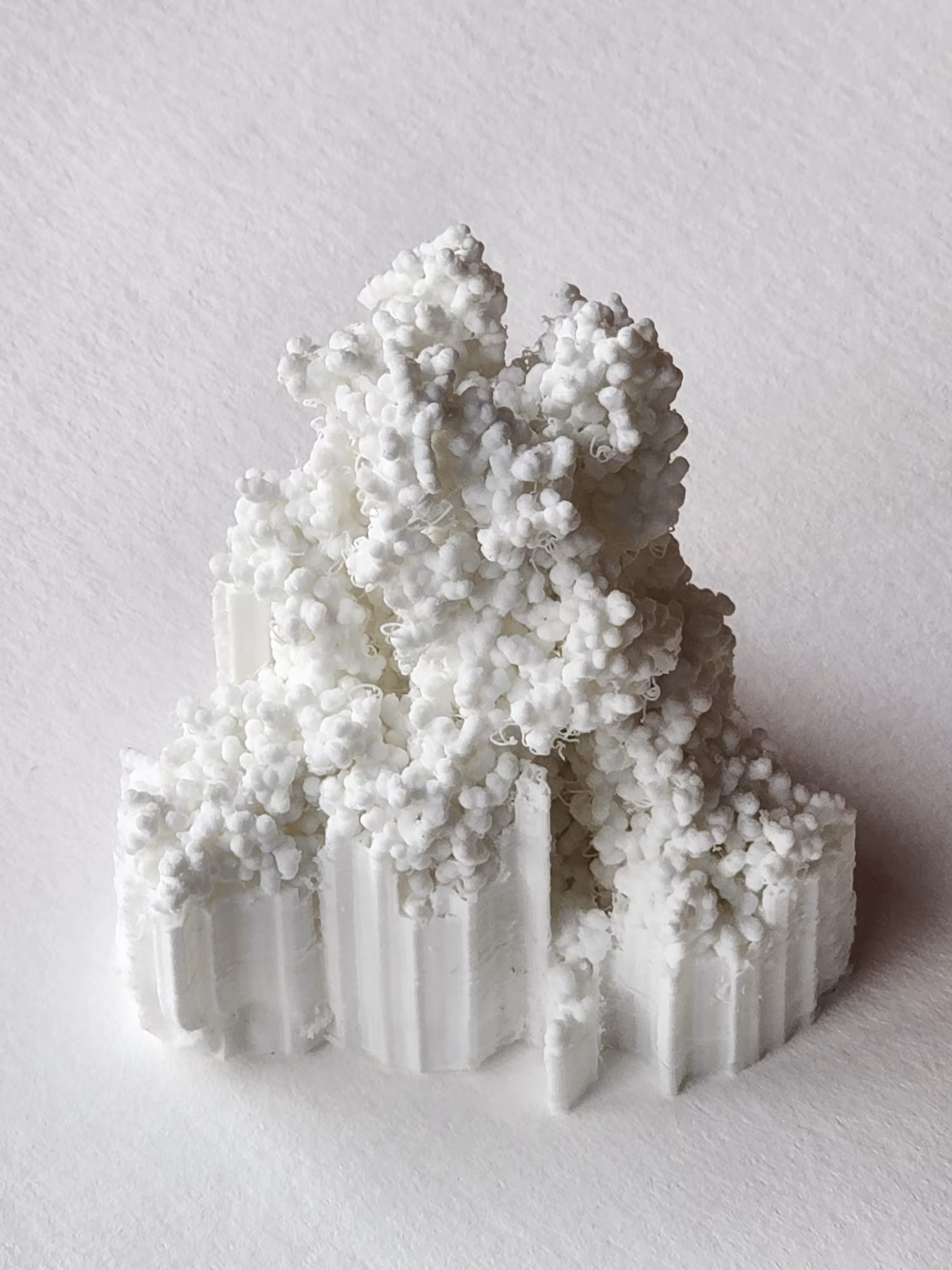 Spike Protein [SARS-COV-2]