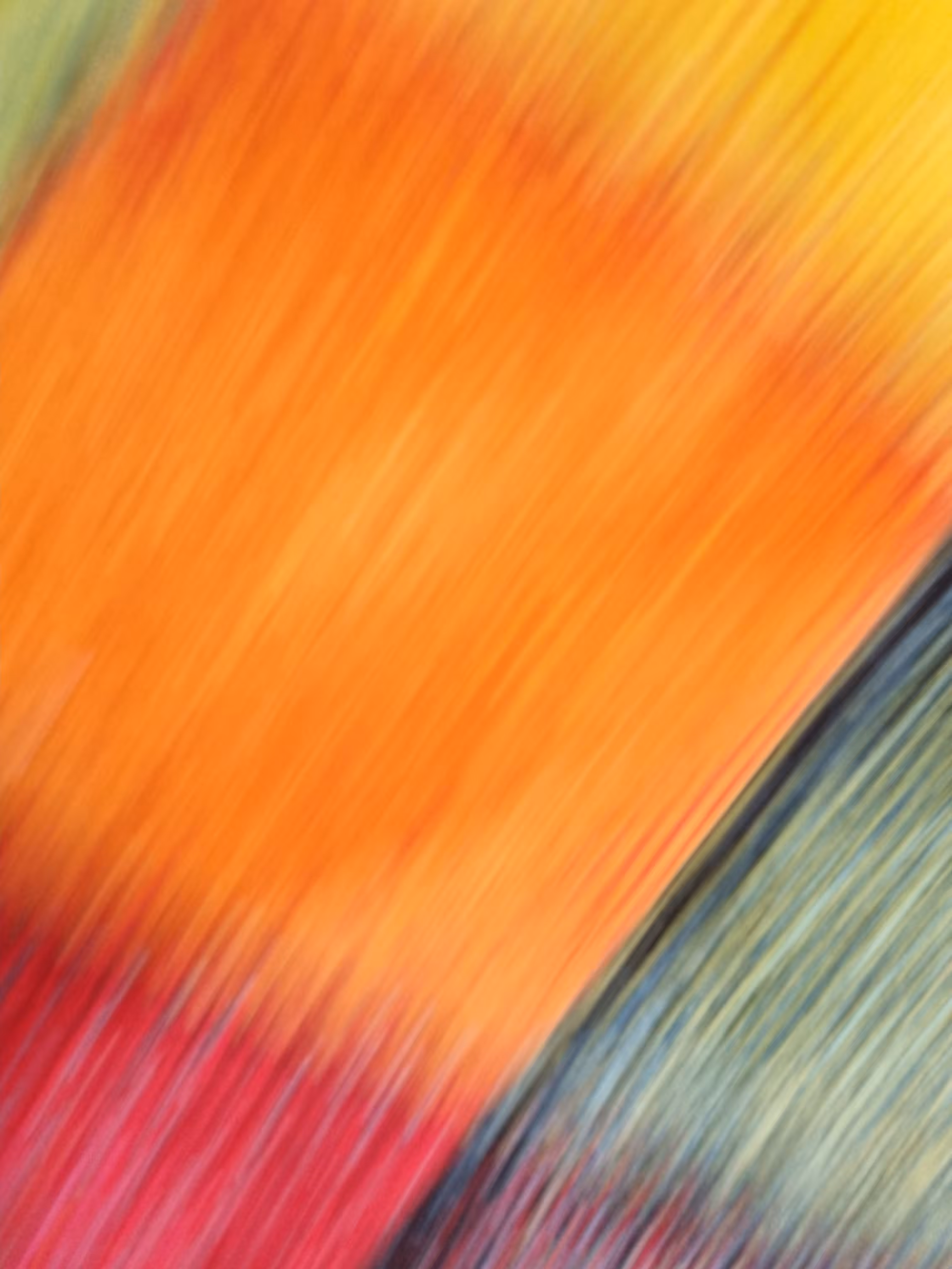 Color Crunch 208