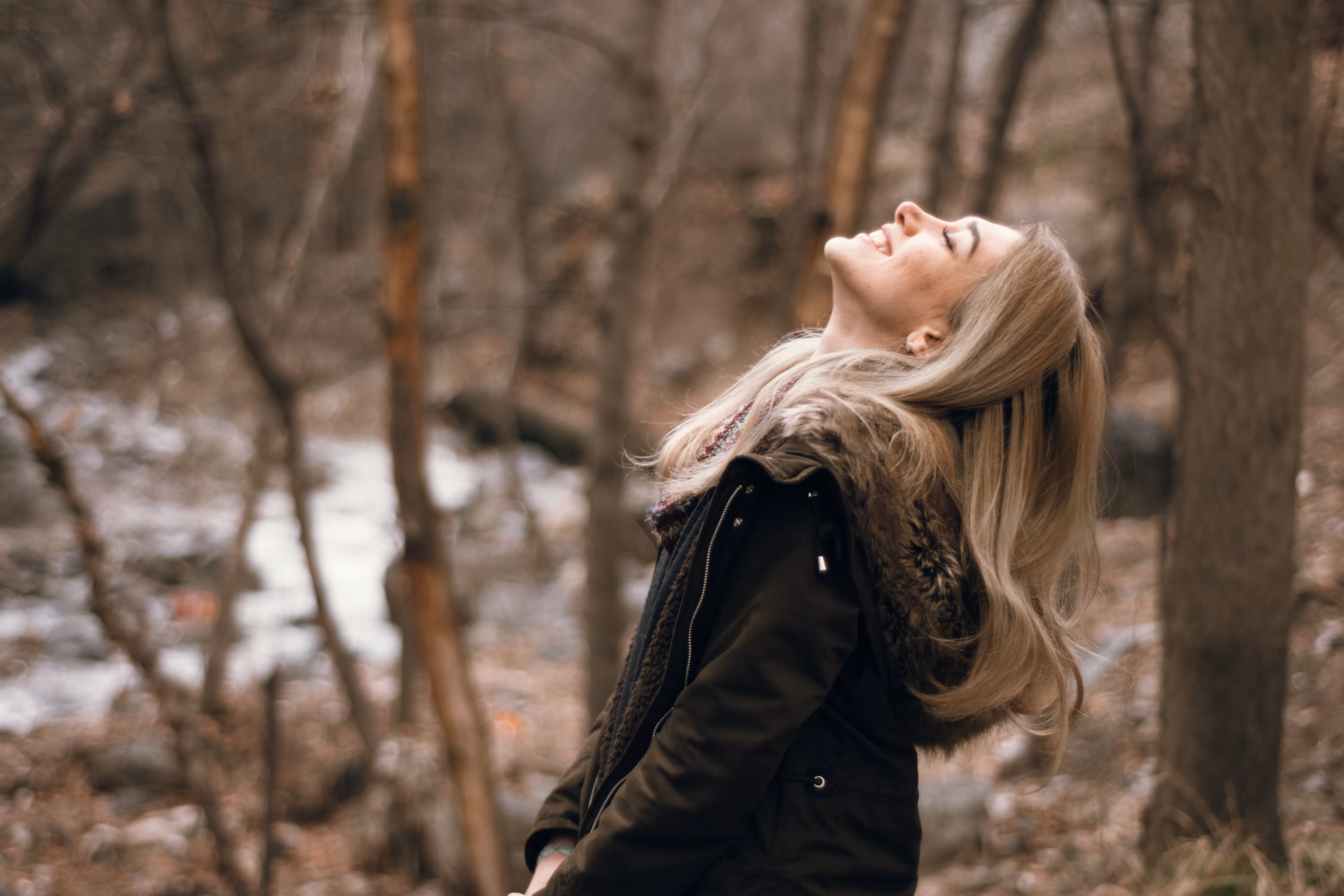 A dream of autumn