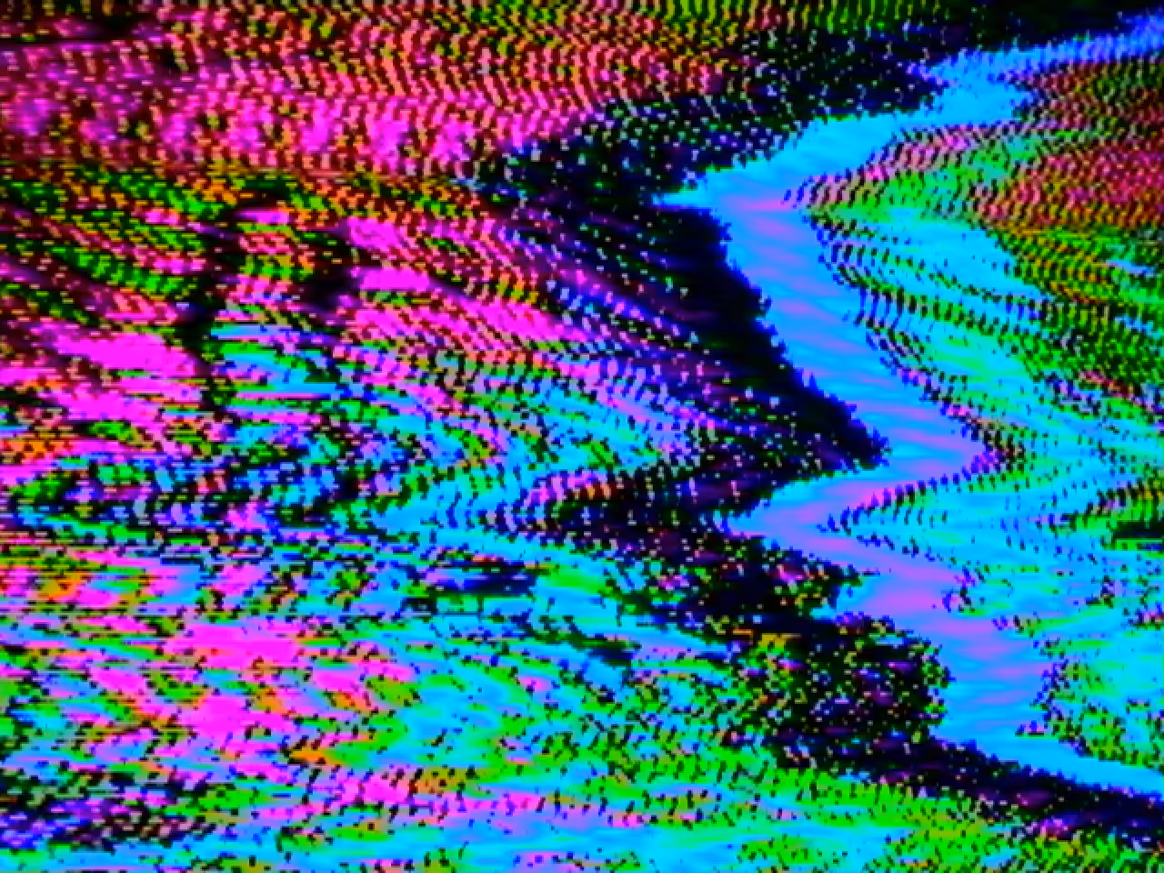 231