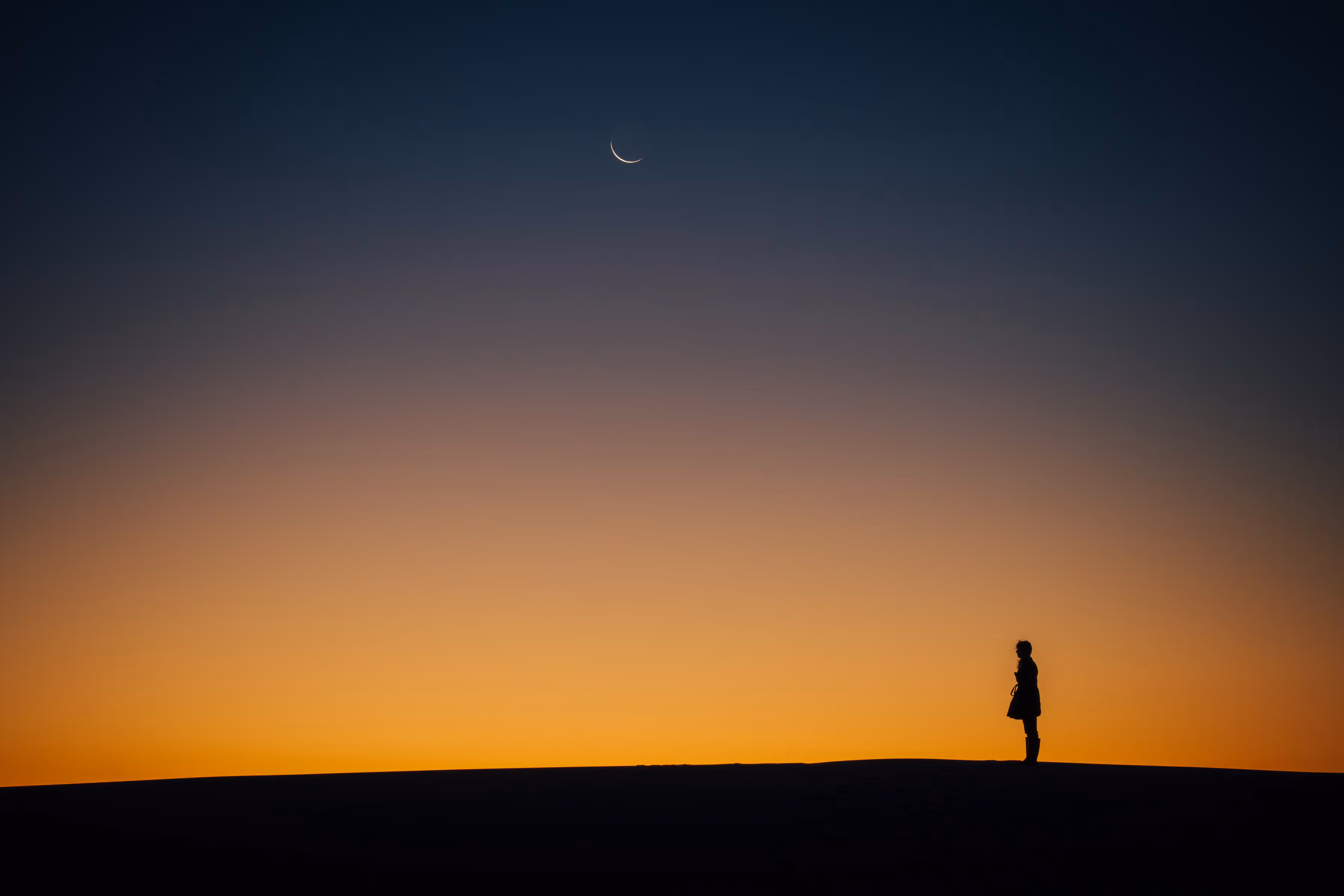 Lunar Lady