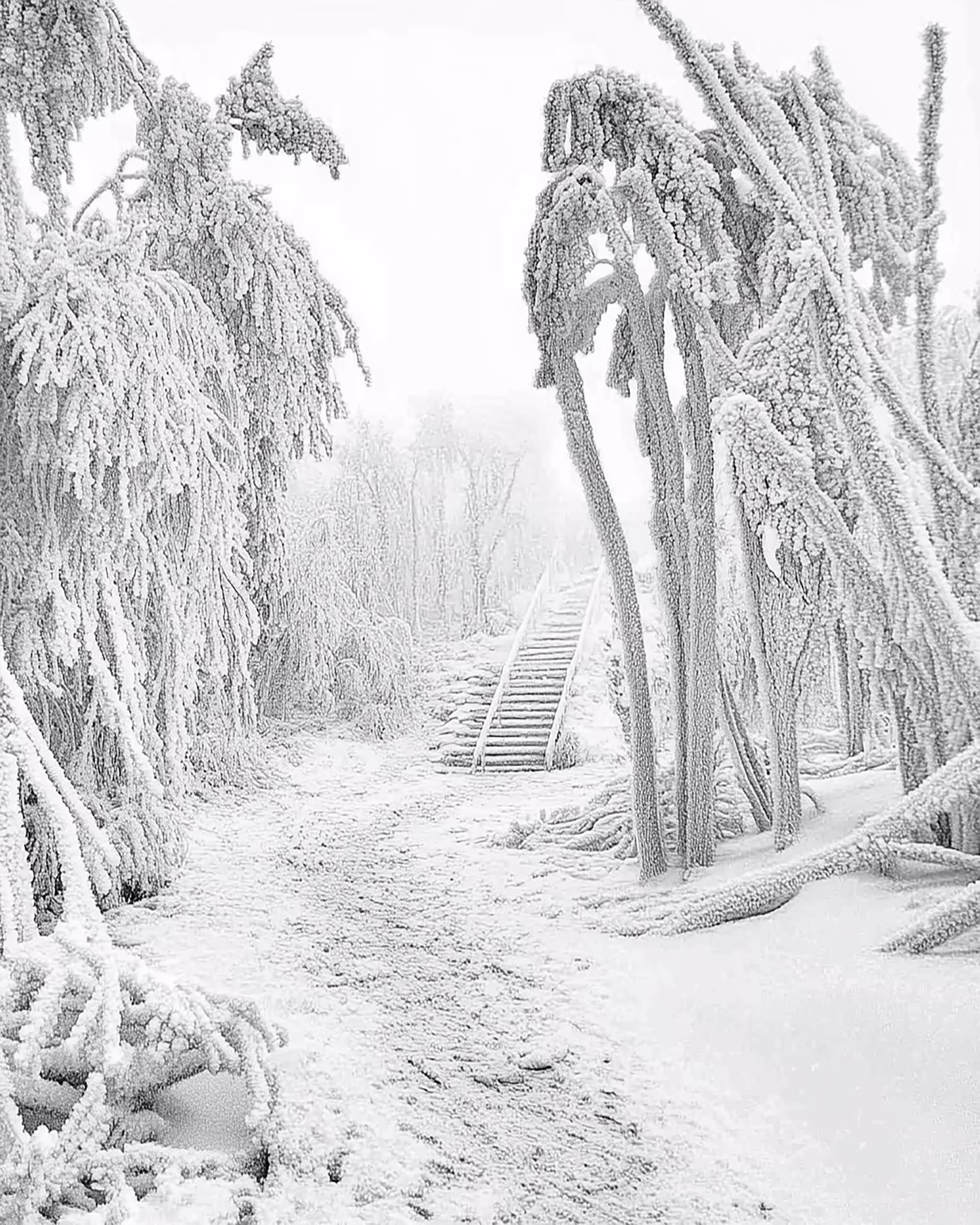 Wintertime .4
