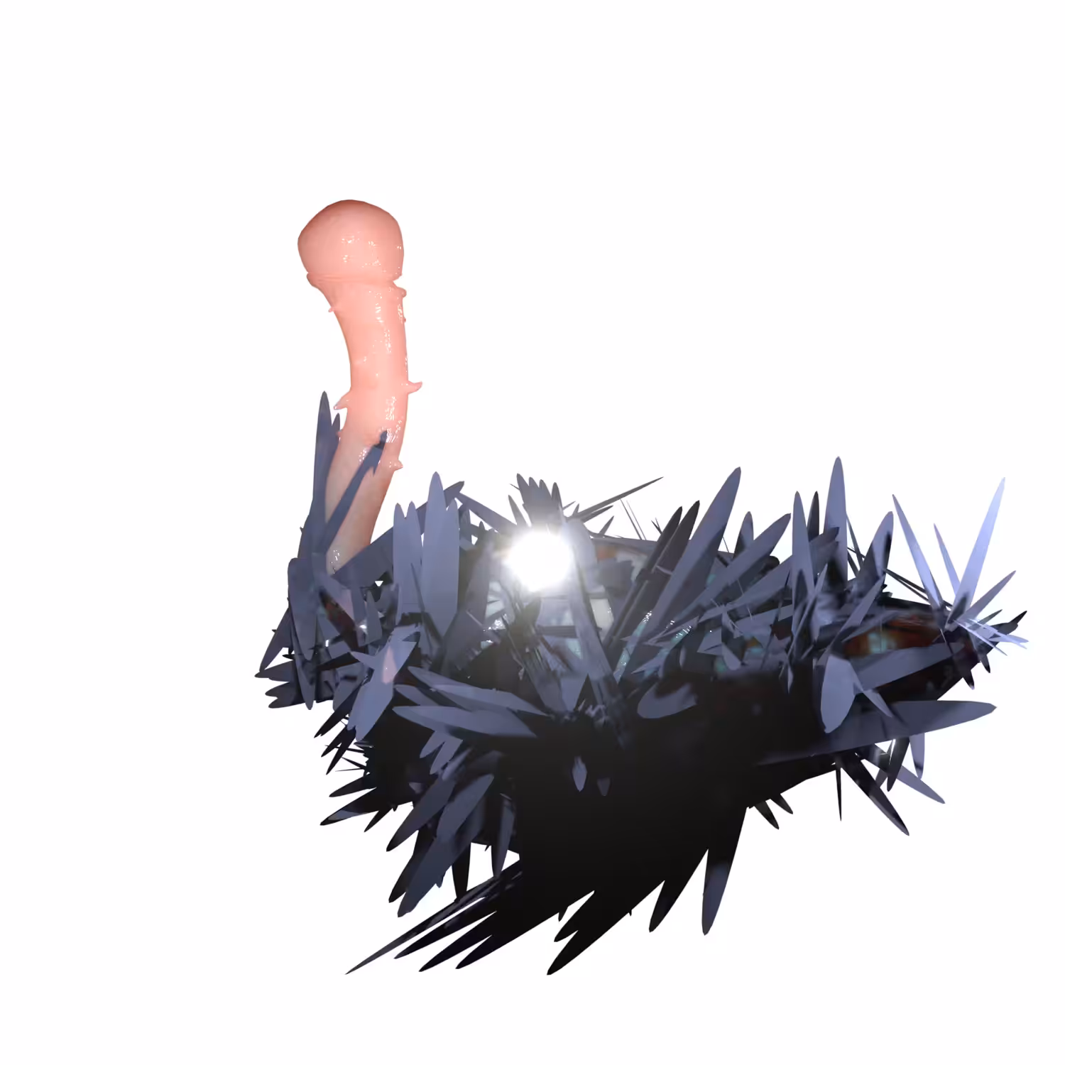 Swan.war()