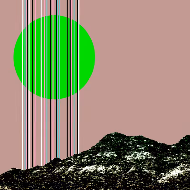 collage #1  from nature #33