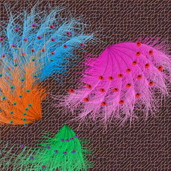 Oriental Peafowl Impression #6