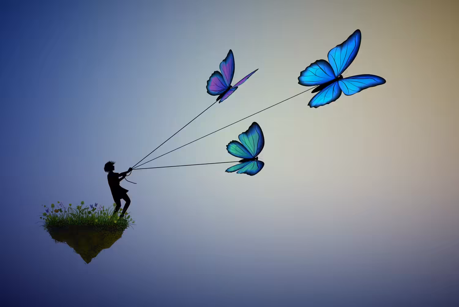 Fly away