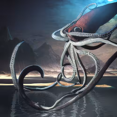 #NFTHypeSquid