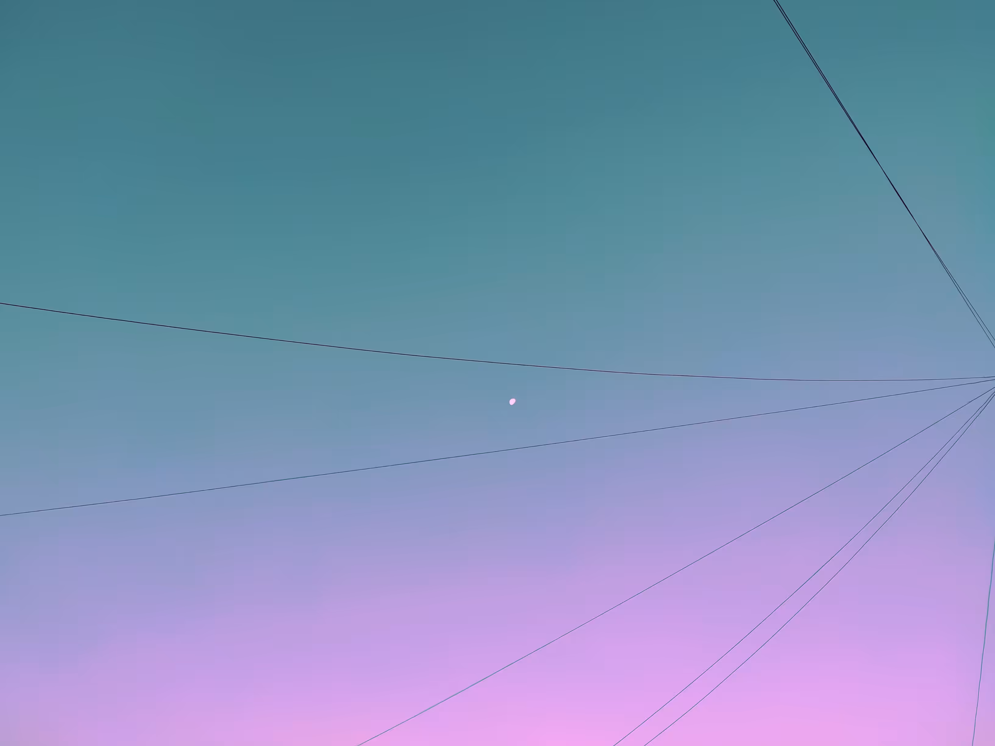 ELO