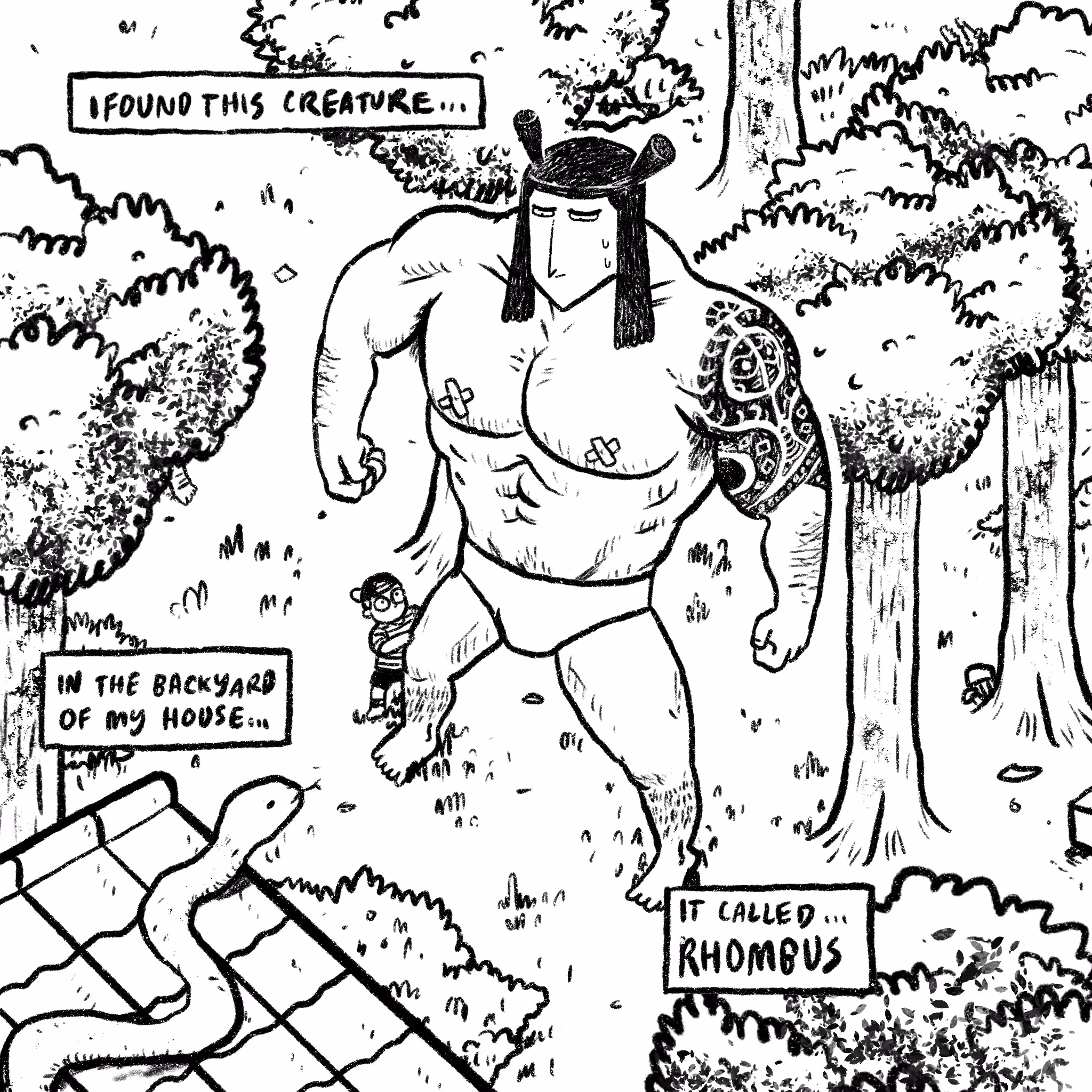 THE CREATURE CALLED RHOMBUS