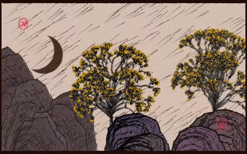 Bloom in the rain #38