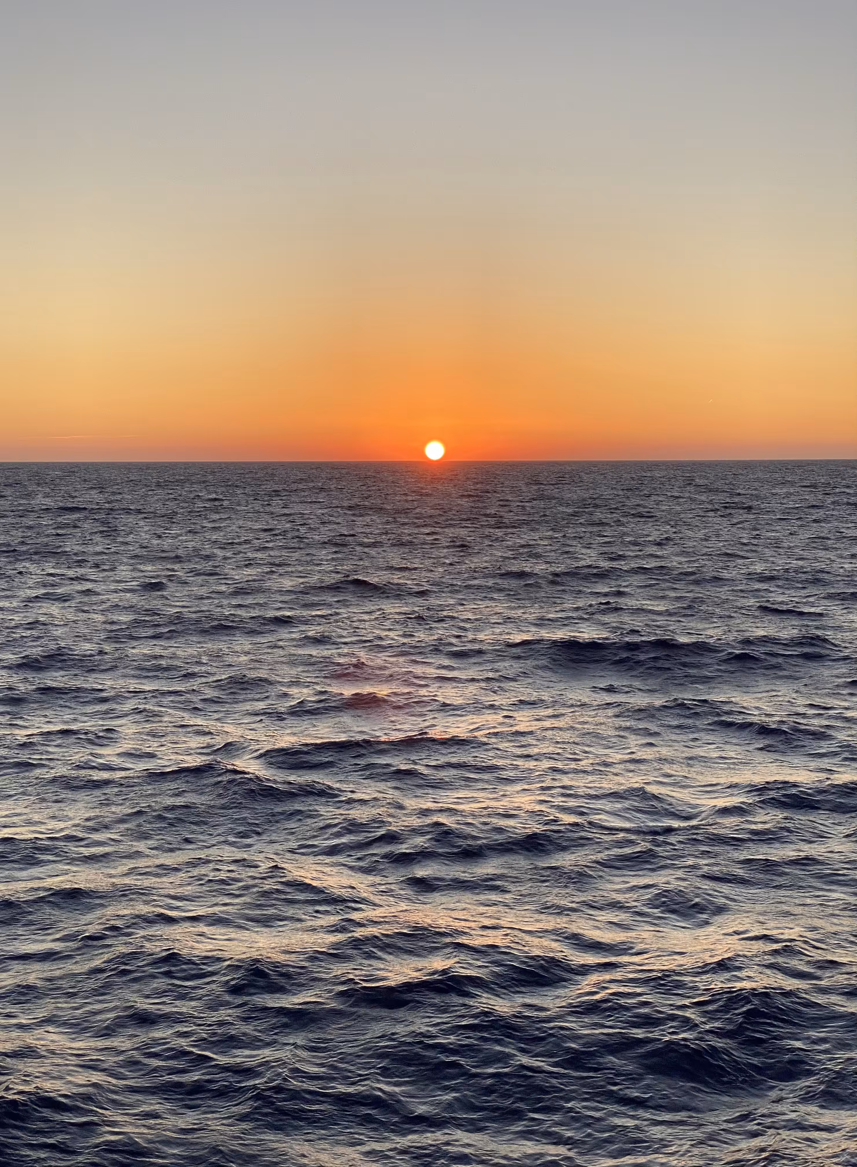 ☀️🌅🌊