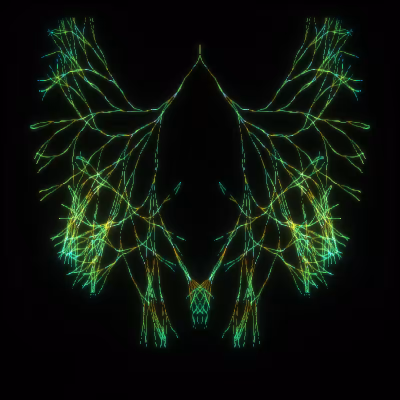 Oiseaux-Manège #20