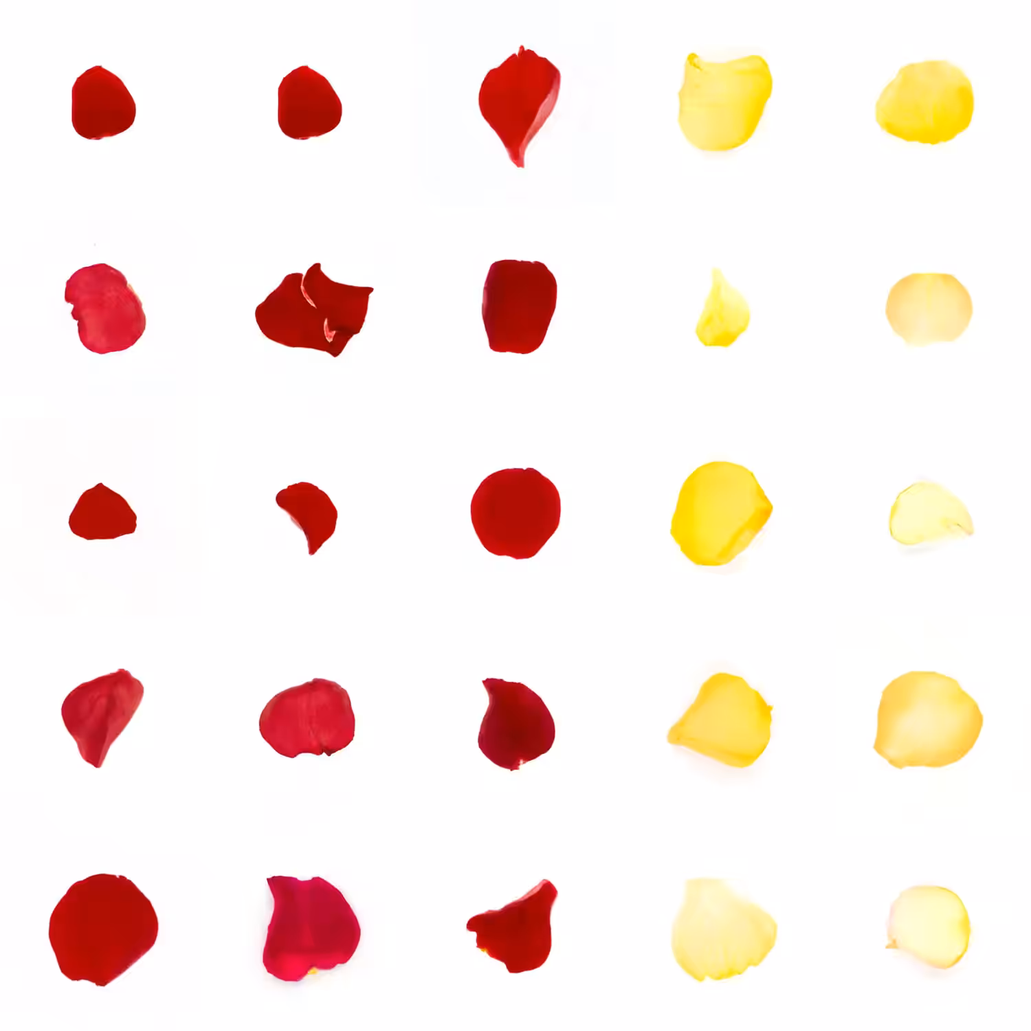 Infinite Petals 5x5#21261