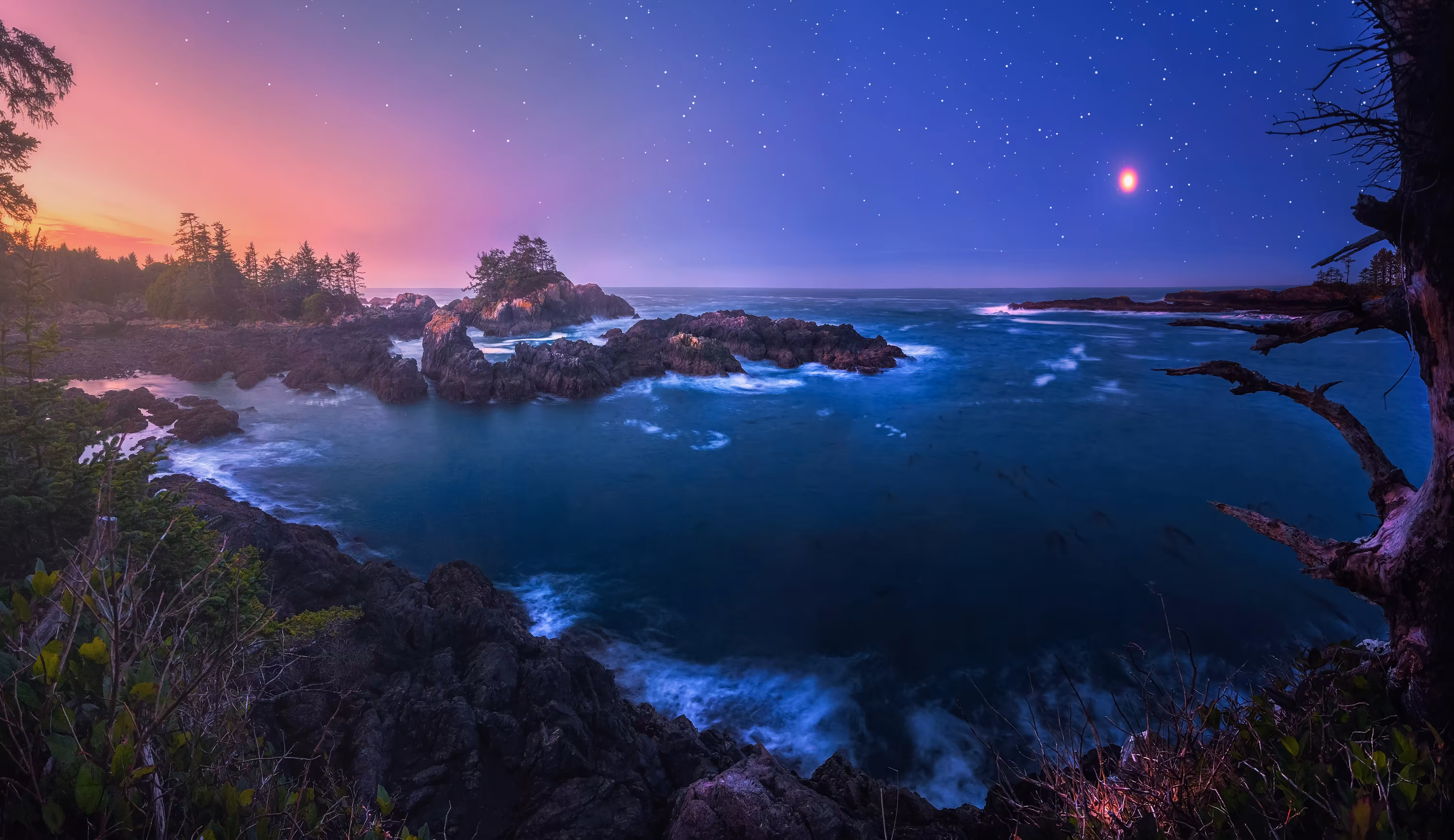 Wild Pacific Dawn