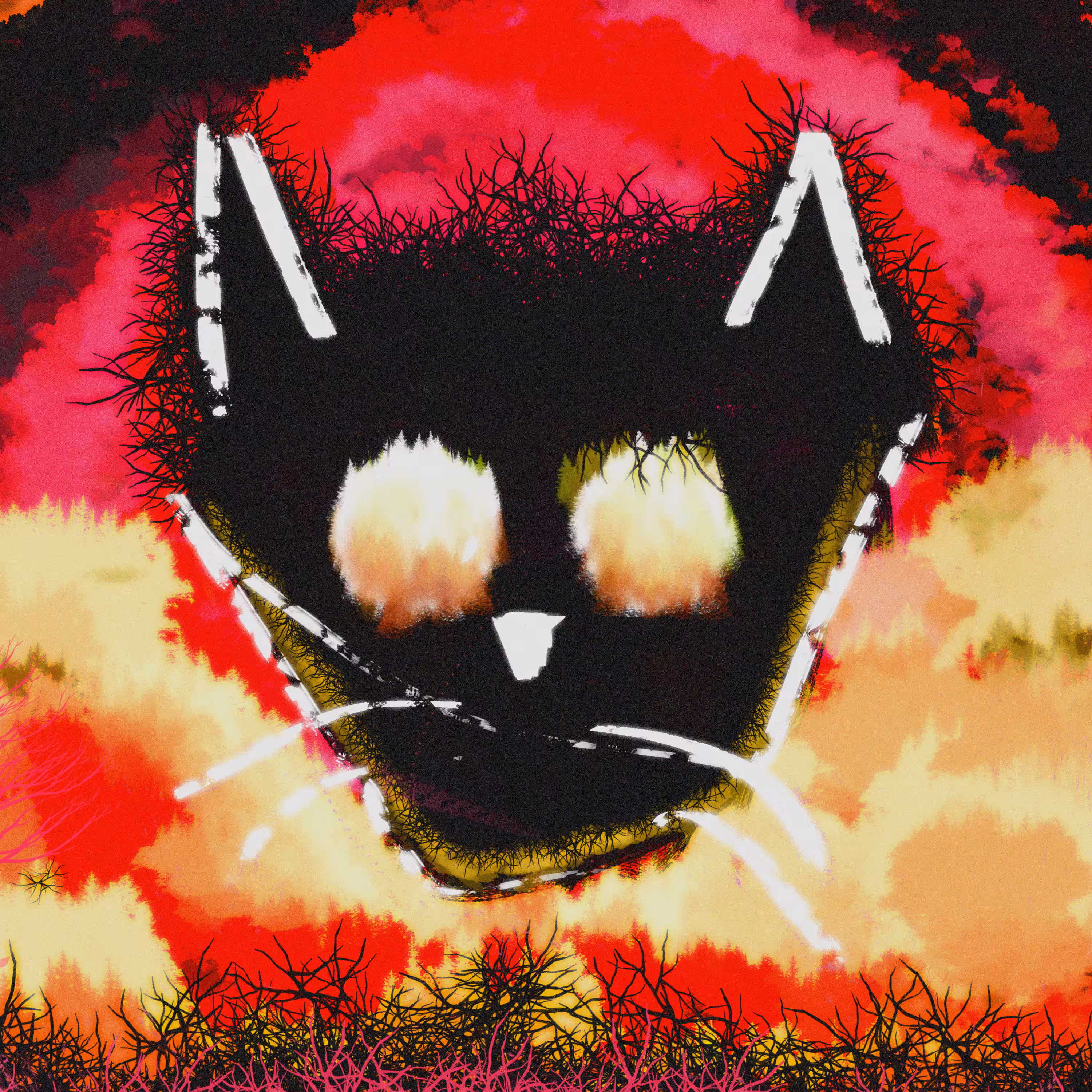 cato038