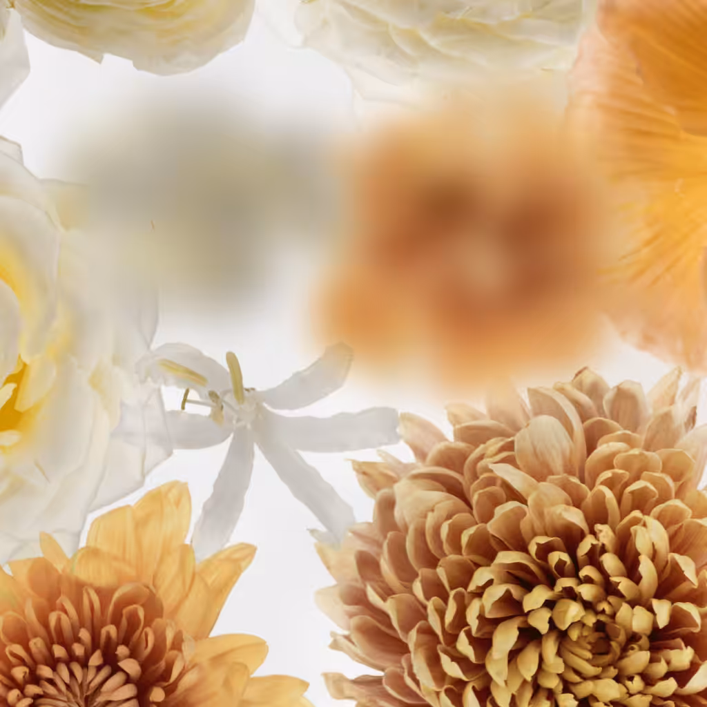 Broken Flowers #12