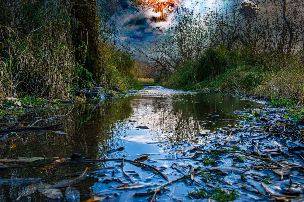 Sammamish Trail
