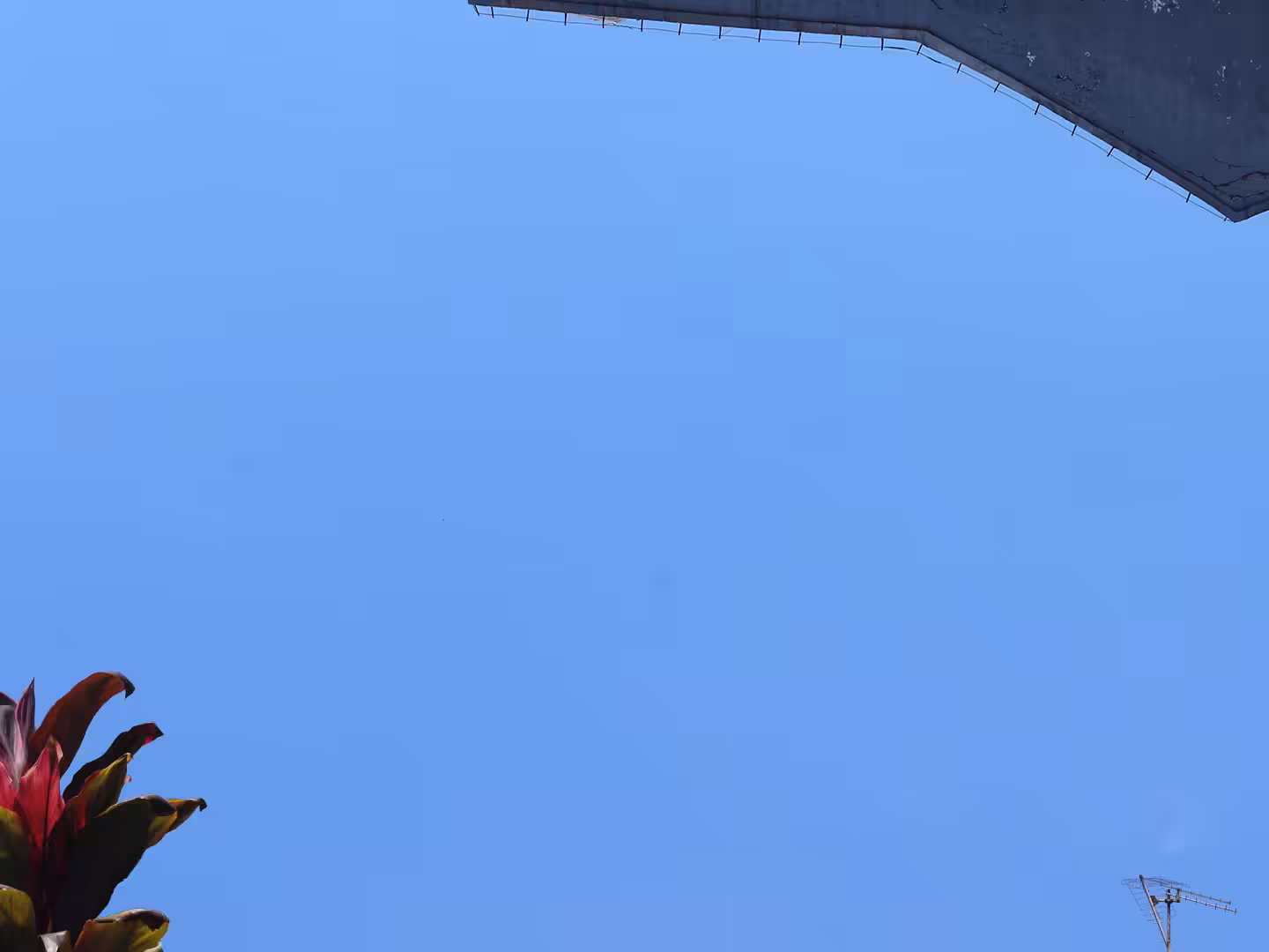 Blue Screen #28